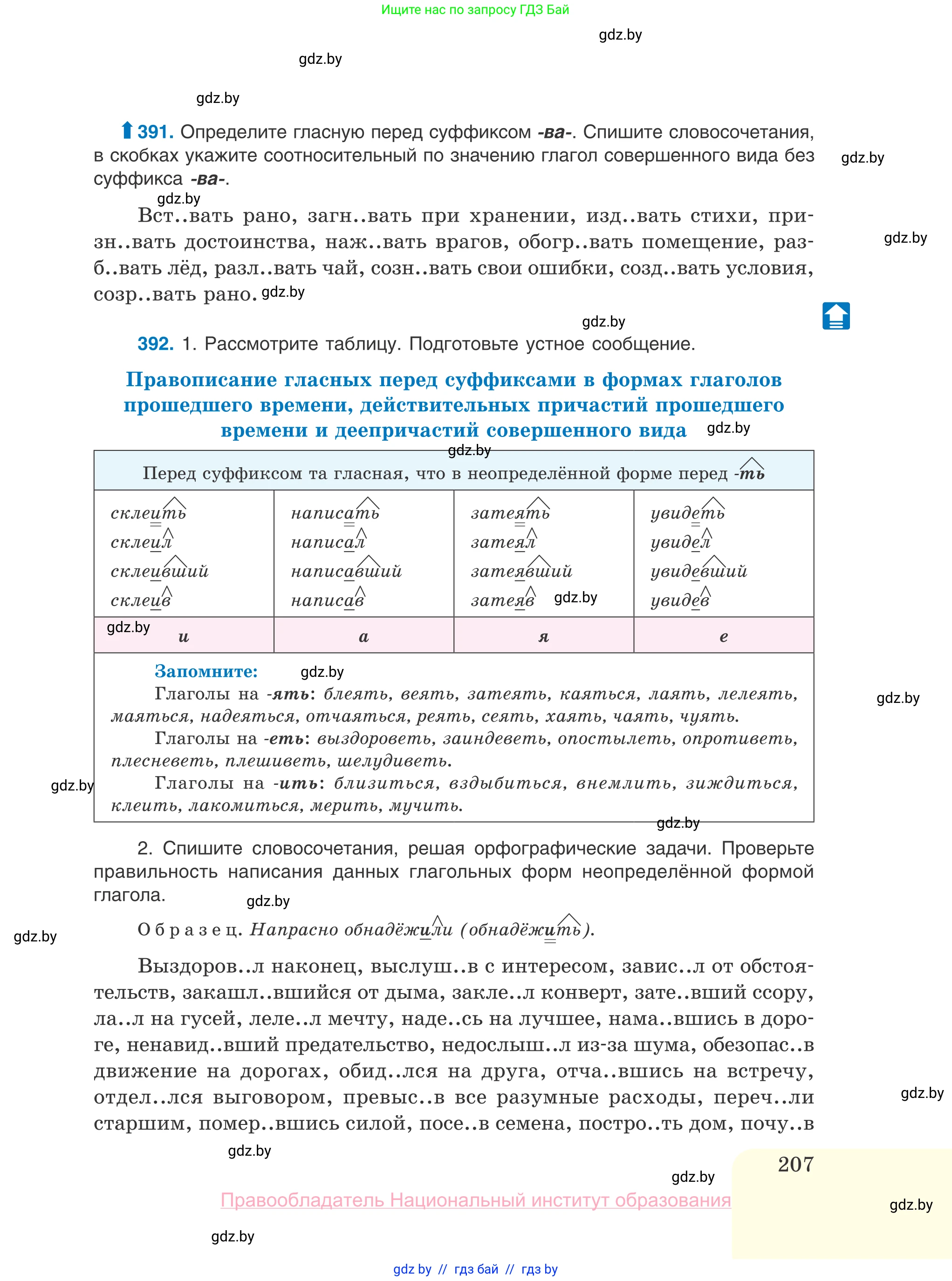 Русский язык, 10 класс Учебник, авторы: Леонович Валентина Леонидовна, Саникович Валентина Александровна, Литвинко Франя Михайловна, Волынец Татьяна Николаевна, Долбик Елена Евгеньевна, Малецкая М И, Мурина Лариса Александровна, Таяновская И В, издательство Национальный институт образования, Минск, 2020, страница 207