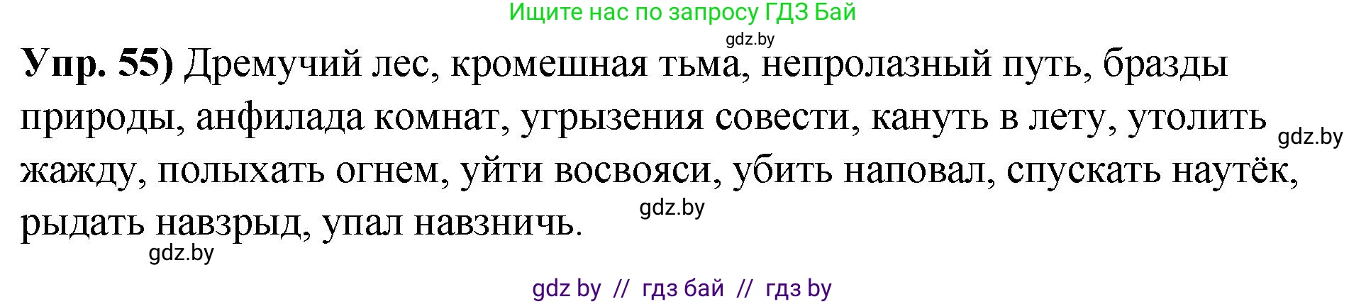Русский язык, 10 класс Учебник, авторы: Леонович Валентина Леонидовна, Саникович Валентина Александровна, Литвинко Франя Михайловна, Волынец Татьяна Николаевна, Долбик Елена Евгеньевна, Малецкая М И, Мурина Лариса Александровна, Таяновская И В, издательство Национальный институт образования, Минск, 2020, страница 39, номер 55, Решение