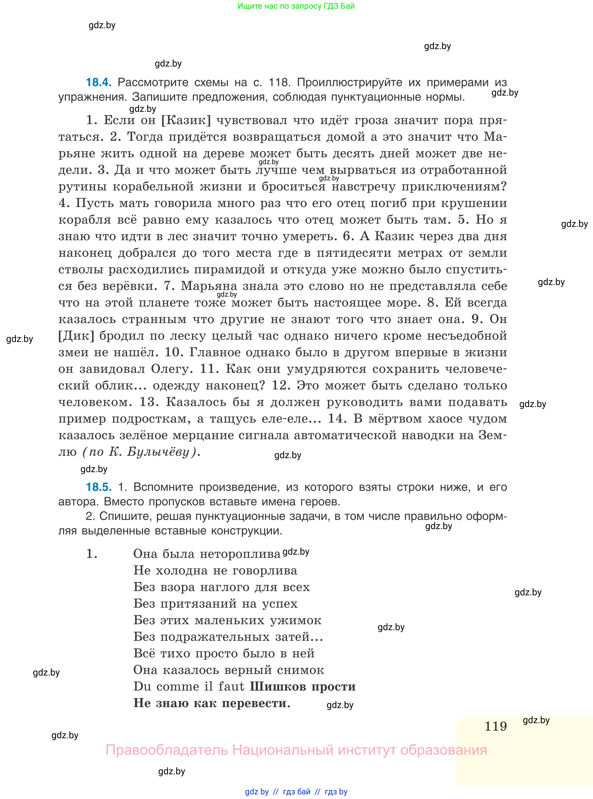 Русский язык, 11 класс Учебник, авторы: Долбик Елена Евгеньевна, Литвинко Франя Михайловна, Мурина Лариса Александровна, Шиманович Т В, Таяновская И В, Орловская О Я, издательство Национальный институт образования, Минск, 2021, страница 119