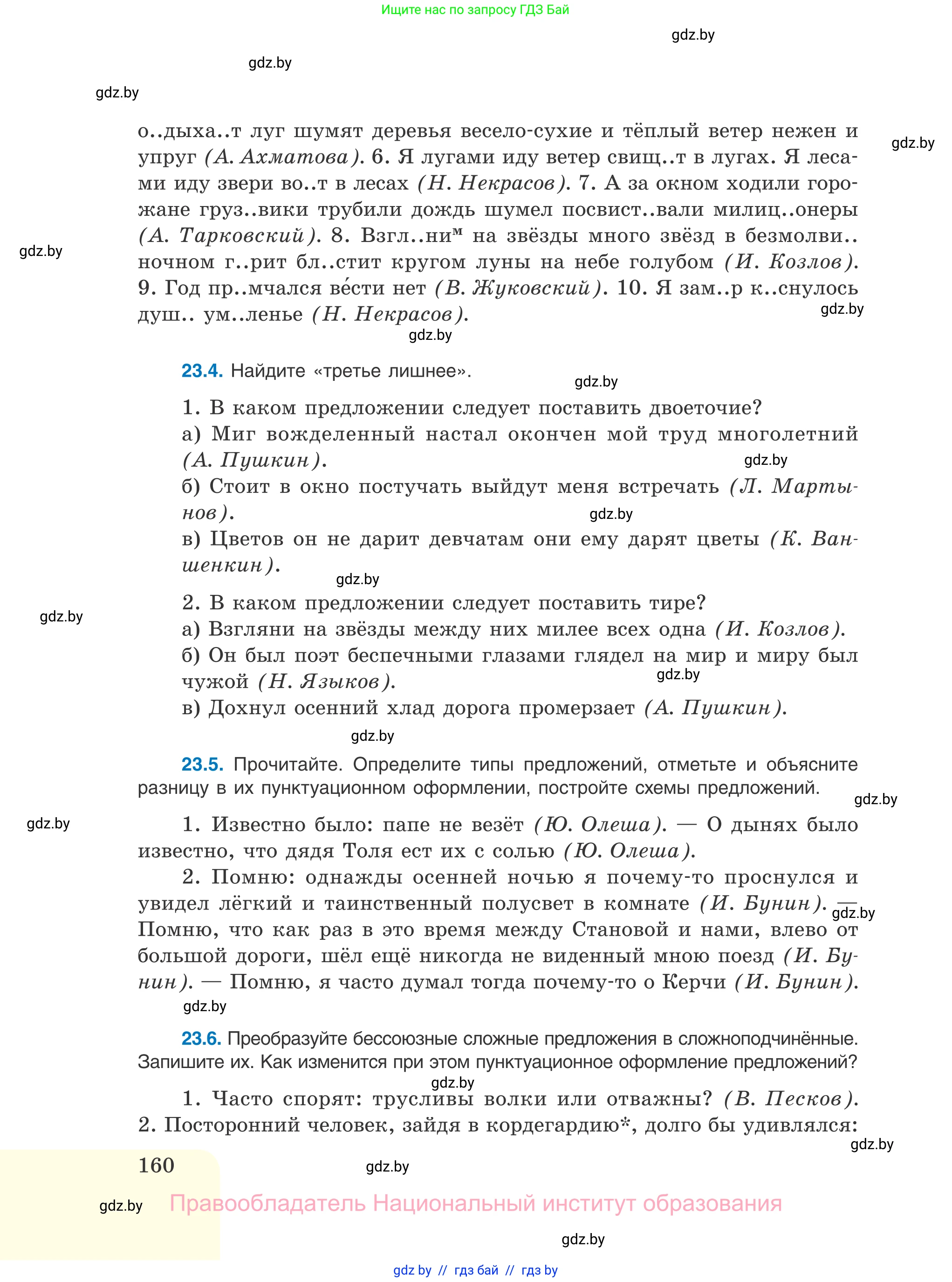 Русский язык, 11 класс Учебник, авторы: Долбик Елена Евгеньевна, Литвинко Франя Михайловна, Мурина Лариса Александровна, Шиманович Т В, Таяновская И В, Орловская О Я, издательство Национальный институт образования, Минск, 2021, страница 160