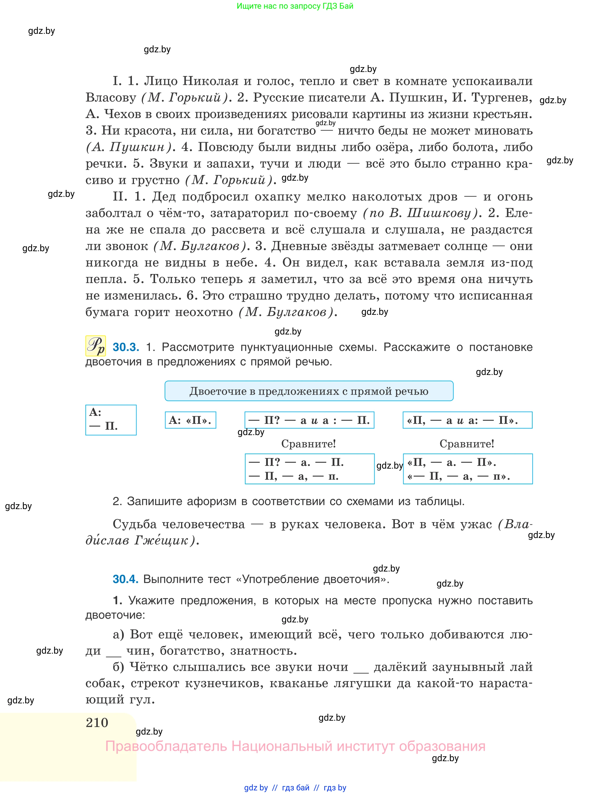 Русский язык, 11 класс Учебник, авторы: Долбик Елена Евгеньевна, Литвинко Франя Михайловна, Мурина Лариса Александровна, Шиманович Т В, Таяновская И В, Орловская О Я, издательство Национальный институт образования, Минск, 2021, страница 210