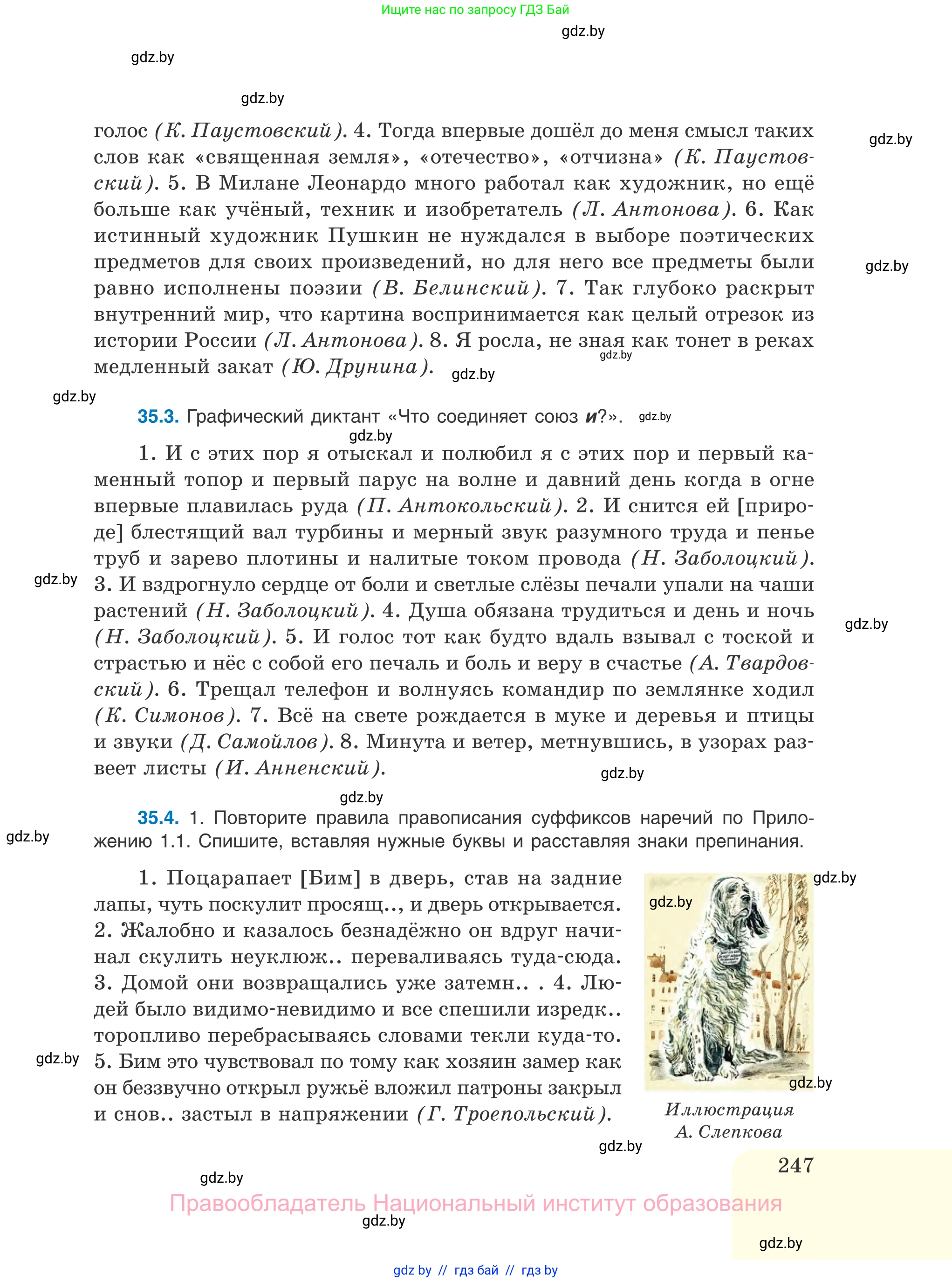 Русский язык, 11 класс Учебник, авторы: Долбик Елена Евгеньевна, Литвинко Франя Михайловна, Мурина Лариса Александровна, Шиманович Т В, Таяновская И В, Орловская О Я, издательство Национальный институт образования, Минск, 2021, страница 247
