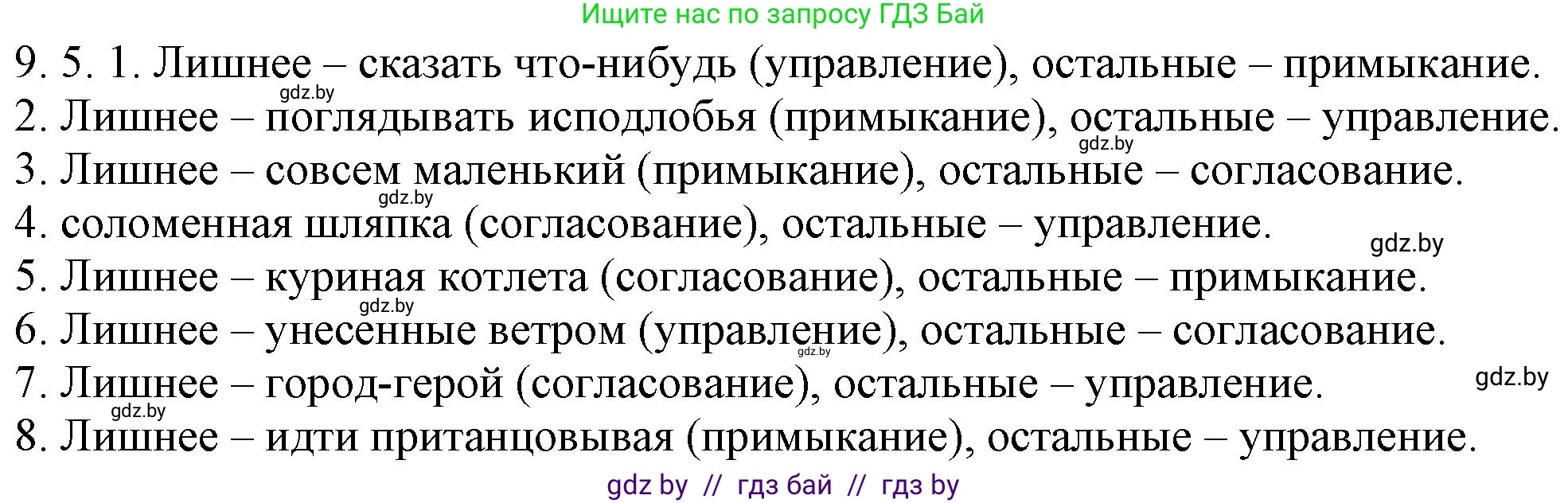 Русский язык, 11 класс Учебник, авторы: Долбик Елена Евгеньевна, Литвинко Франя Михайловна, Мурина Лариса Александровна, Шиманович Т В, Таяновская И В, Орловская О Я, издательство Национальный институт образования, Минск, 2021, страница 53, номер 9.5, Решение
