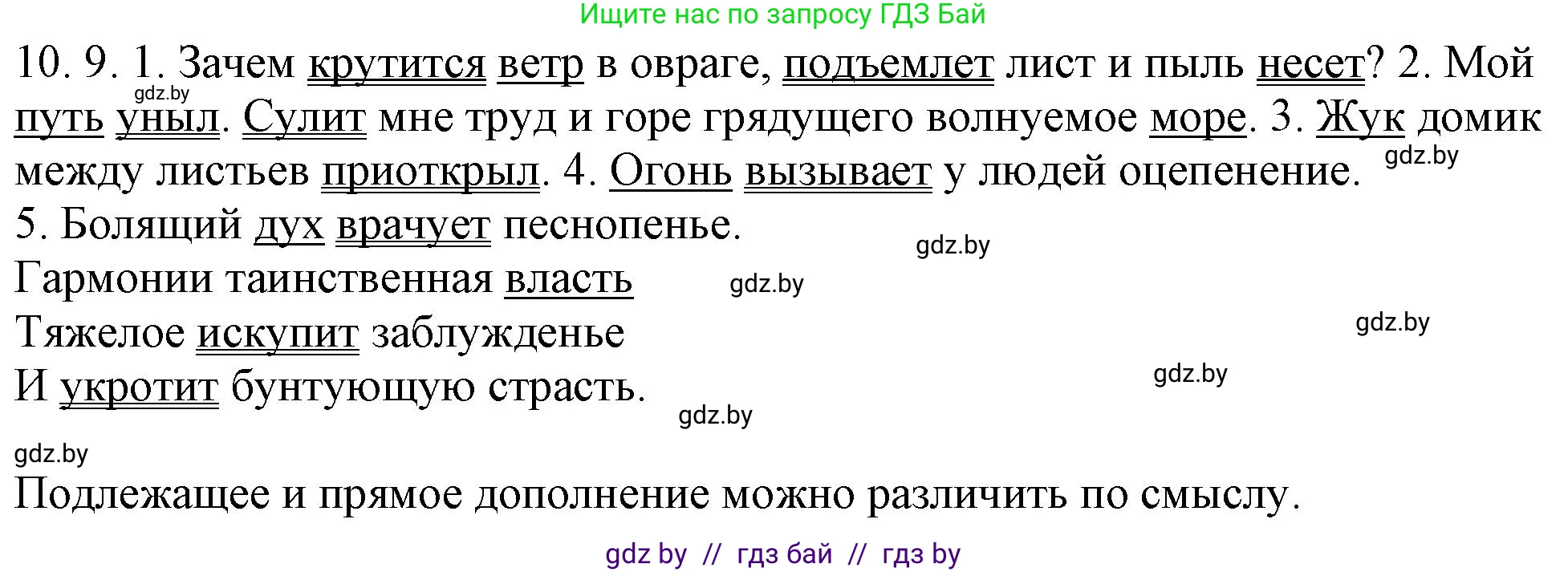 Русский язык, 11 класс Учебник, авторы: Долбик Елена Евгеньевна, Литвинко Франя Михайловна, Мурина Лариса Александровна, Шиманович Т В, Таяновская И В, Орловская О Я, издательство Национальный институт образования, Минск, 2021, страница 63, номер 10.9, Решение