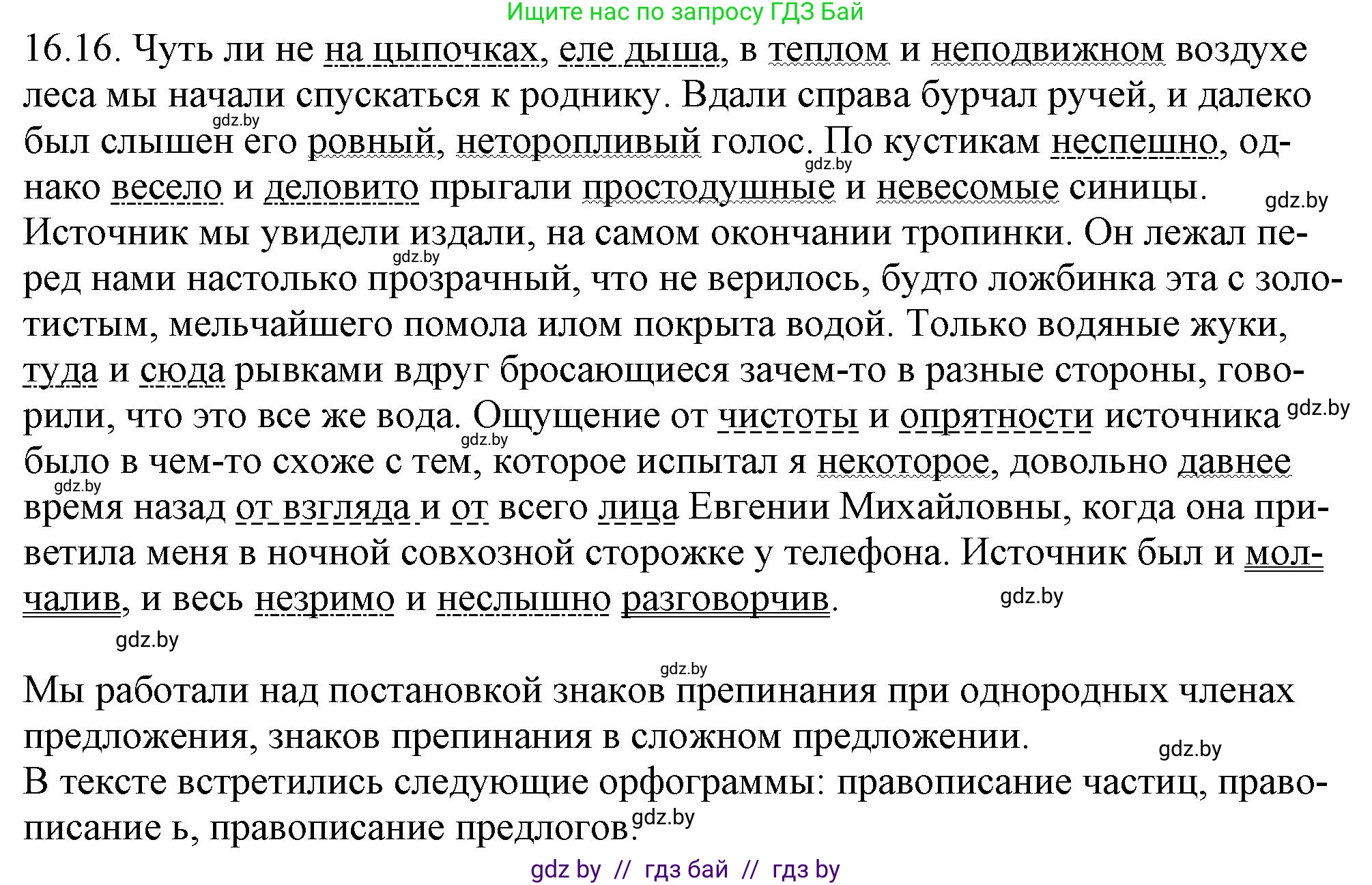 Русский язык, 11 класс Учебник, авторы: Долбик Елена Евгеньевна, Литвинко Франя Михайловна, Мурина Лариса Александровна, Шиманович Т В, Таяновская И В, Орловская О Я, издательство Национальный институт образования, Минск, 2021, страница 101, номер 16.16, Решение