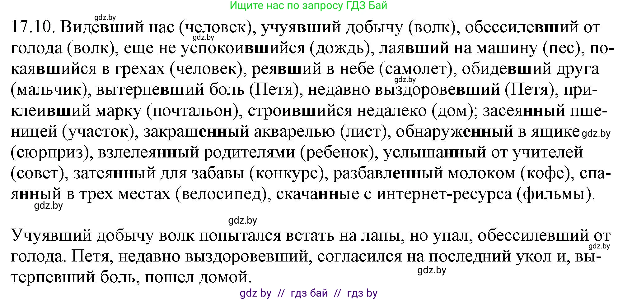 Русский язык, 11 класс Учебник, авторы: Долбик Елена Евгеньевна, Литвинко Франя Михайловна, Мурина Лариса Александровна, Шиманович Т В, Таяновская И В, Орловская О Я, издательство Национальный институт образования, Минск, 2021, страница 109, номер 17.10, Решение
