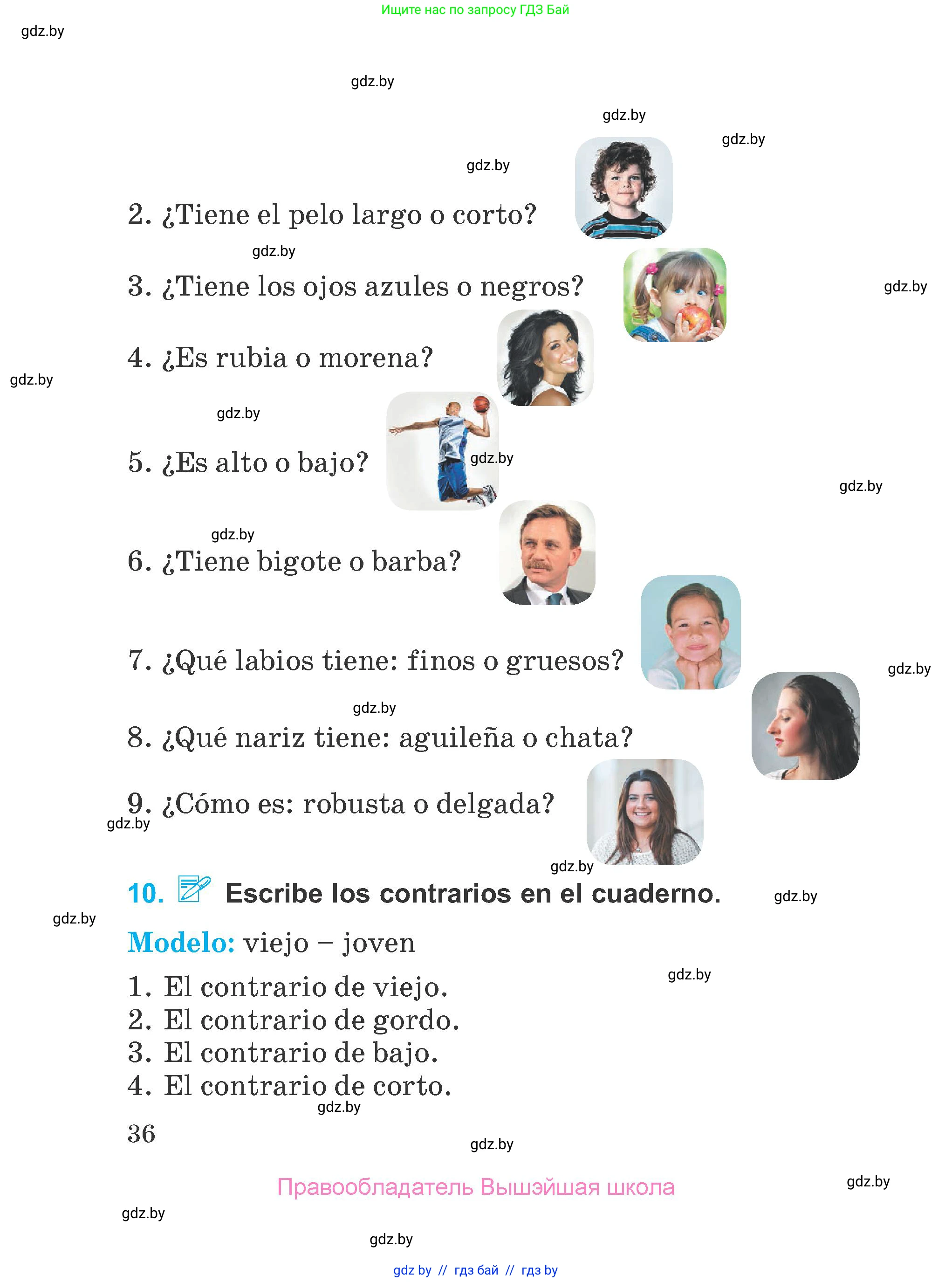 Испанский язык, 4 класс Учебник, авторы: Гриневич Елена Карловна, Бахар Лариса Николаевна, издательство Вышэйшая школа, Минск, 2019, красного цвета, Часть 1, страница 36