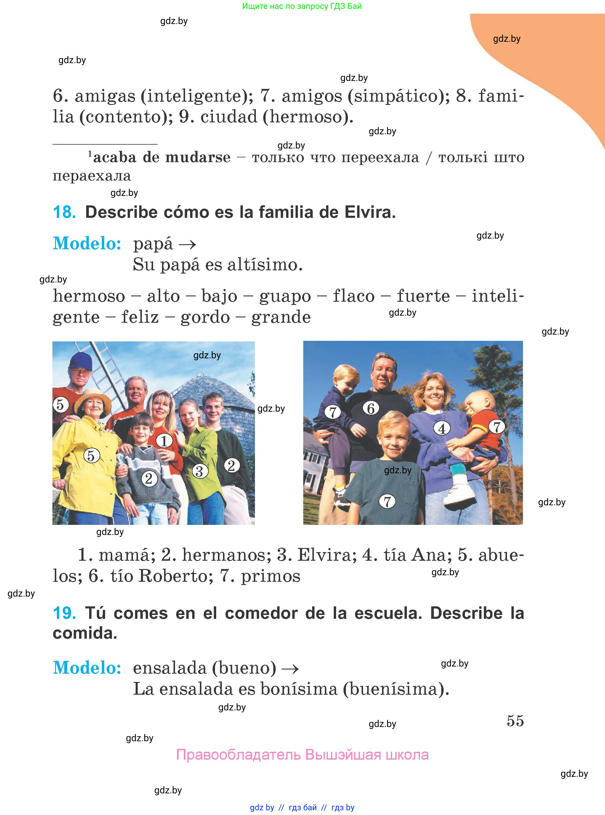Испанский язык, 4 класс Учебник, авторы: Гриневич Елена Карловна, Бахар Лариса Николаевна, издательство Вышэйшая школа, Минск, 2019, красного цвета, Часть 1, страница 55