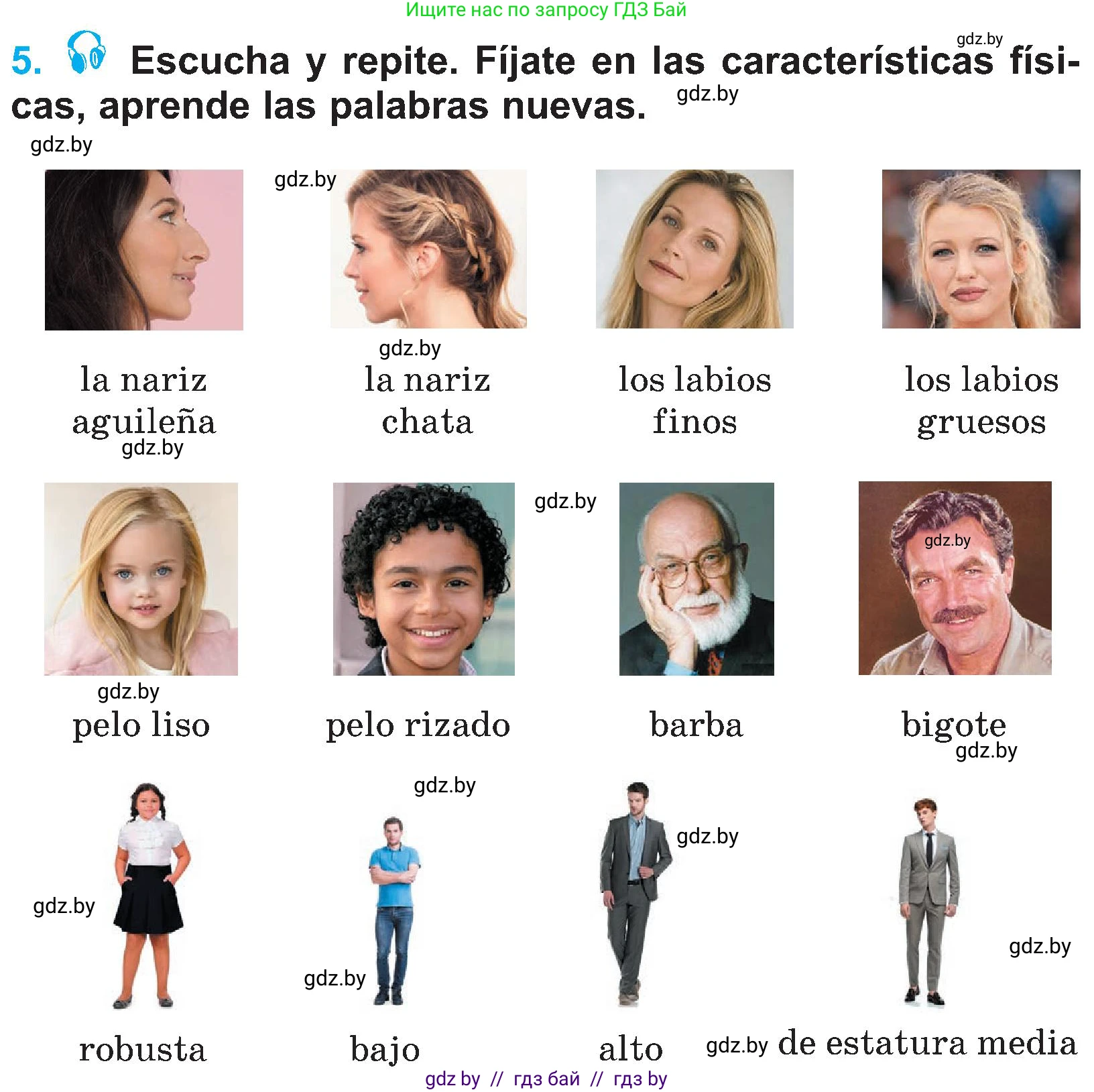 Испанский язык, 4 класс Учебник, авторы: Гриневич Елена Карловна, Бахар Лариса Николаевна, издательство Вышэйшая школа, Минск, 2019, красного цвета, Часть 1, страница 34, номер 5, Условие