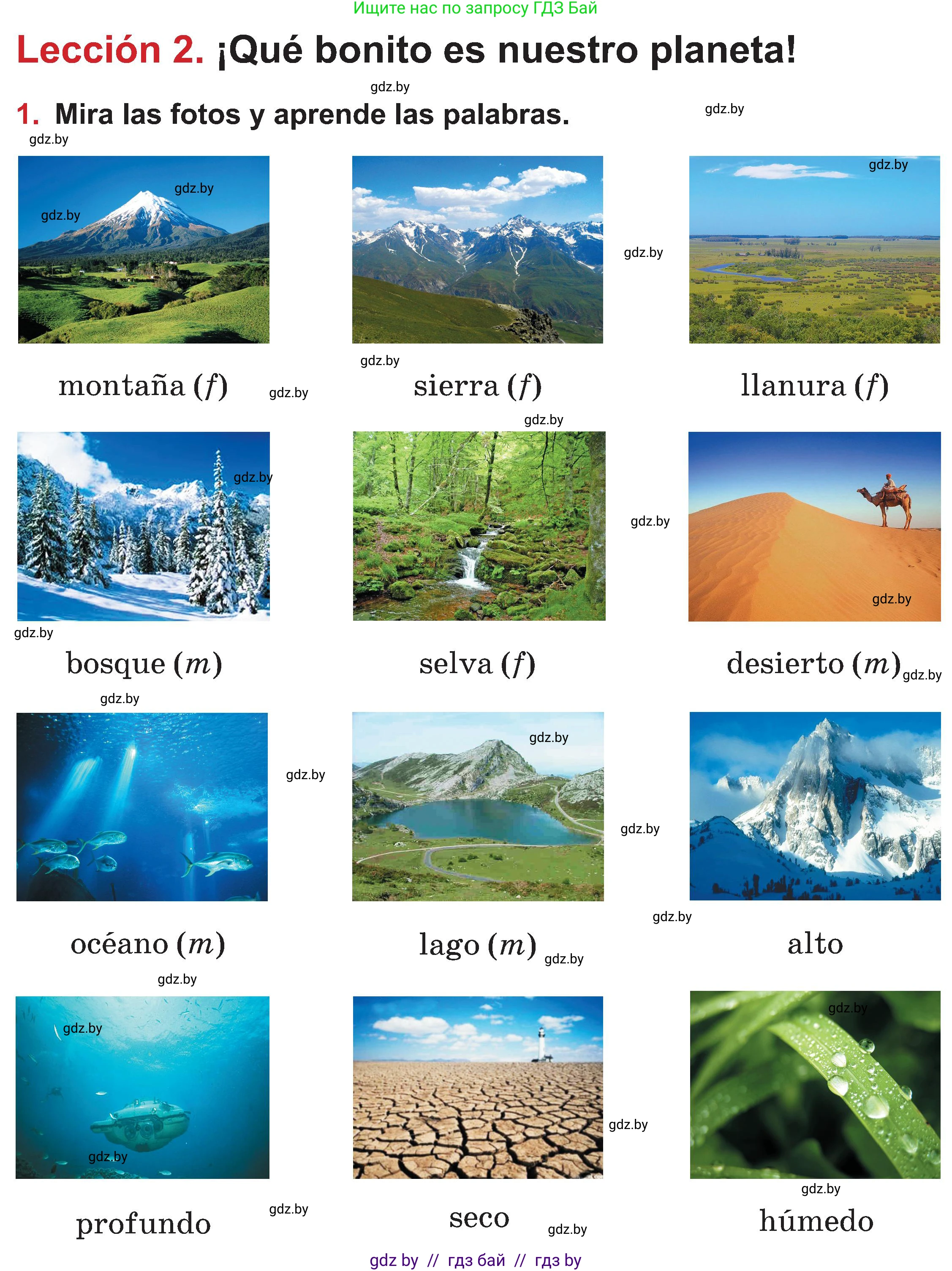 Испанский язык, 5 класс Учебник, авторы: Цыбулева Татьяна Эдуардовна, Пушкина Ольга Александровна, издательство Вышэйшая школа, Минск, 2017, оранжевого цвета, страница 16, номер 1, Условие