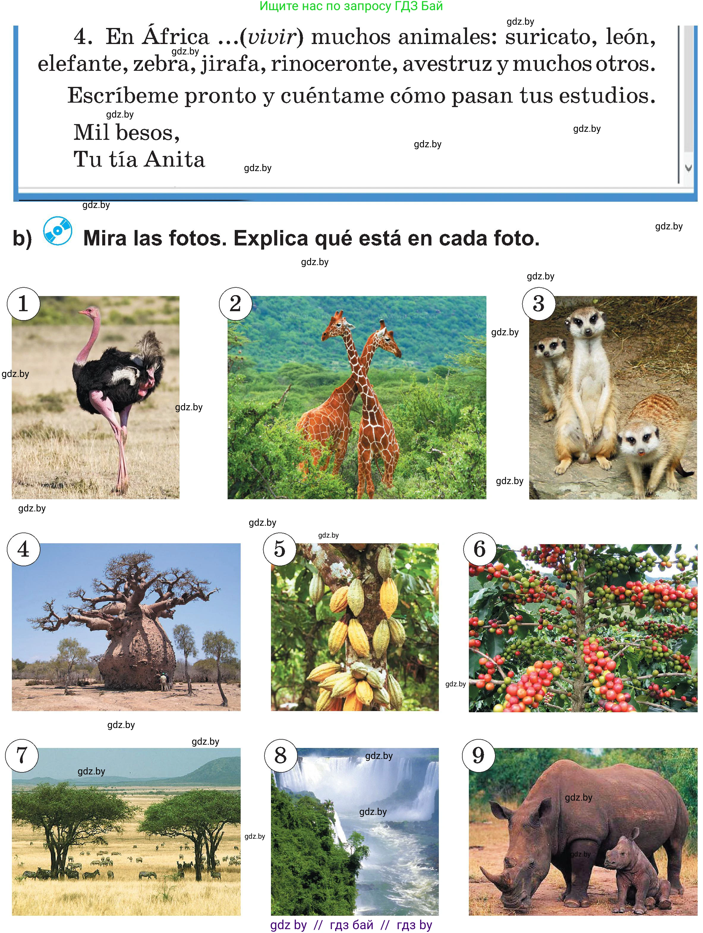 Испанский язык, 5 класс Учебник, авторы: Цыбулева Татьяна Эдуардовна, Пушкина Ольга Александровна, издательство Вышэйшая школа, Минск, 2017, оранжевого цвета, страница 29, номер 23, Условие (продолжение 2)