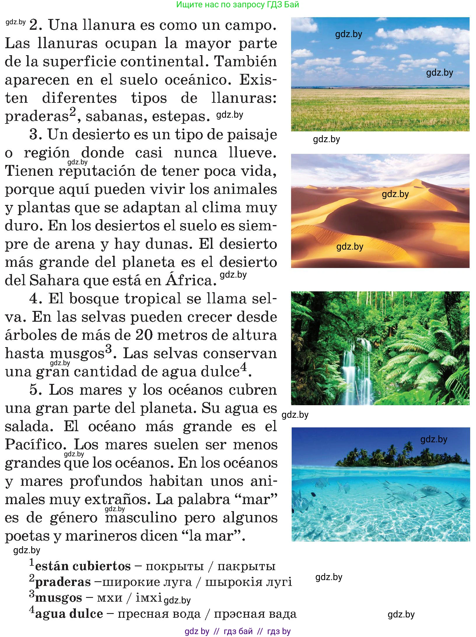 Испанский язык, 5 класс Учебник, авторы: Цыбулева Татьяна Эдуардовна, Пушкина Ольга Александровна, издательство Вышэйшая школа, Минск, 2017, оранжевого цвета, страница 19, номер 6, Условие (продолжение 2)