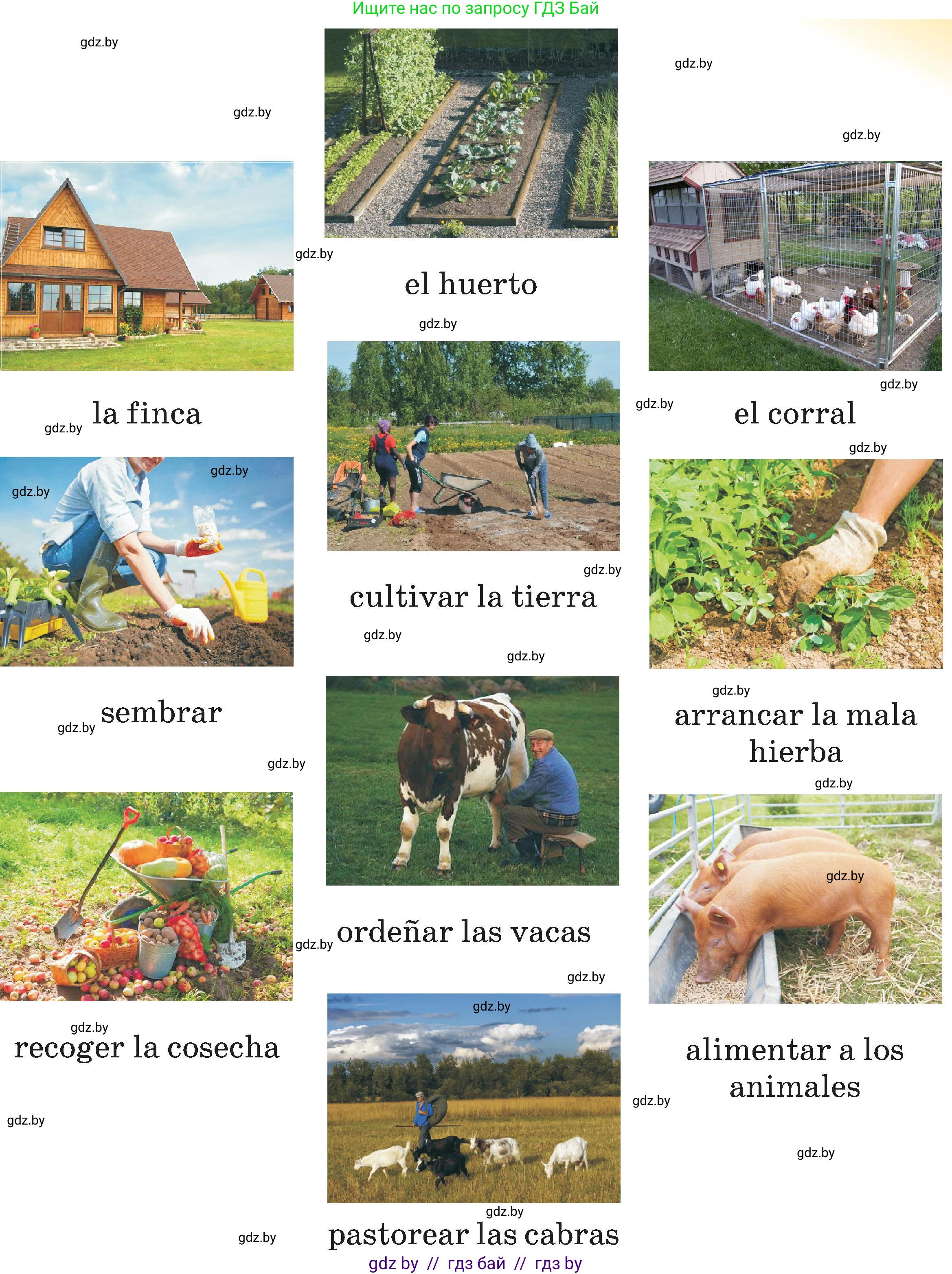 Испанский язык, 5 класс Учебник, авторы: Цыбулева Татьяна Эдуардовна, Пушкина Ольга Александровна, издательство Вышэйшая школа, Минск, 2017, оранжевого цвета, страница 24, номер 2, Условие (продолжение 2)