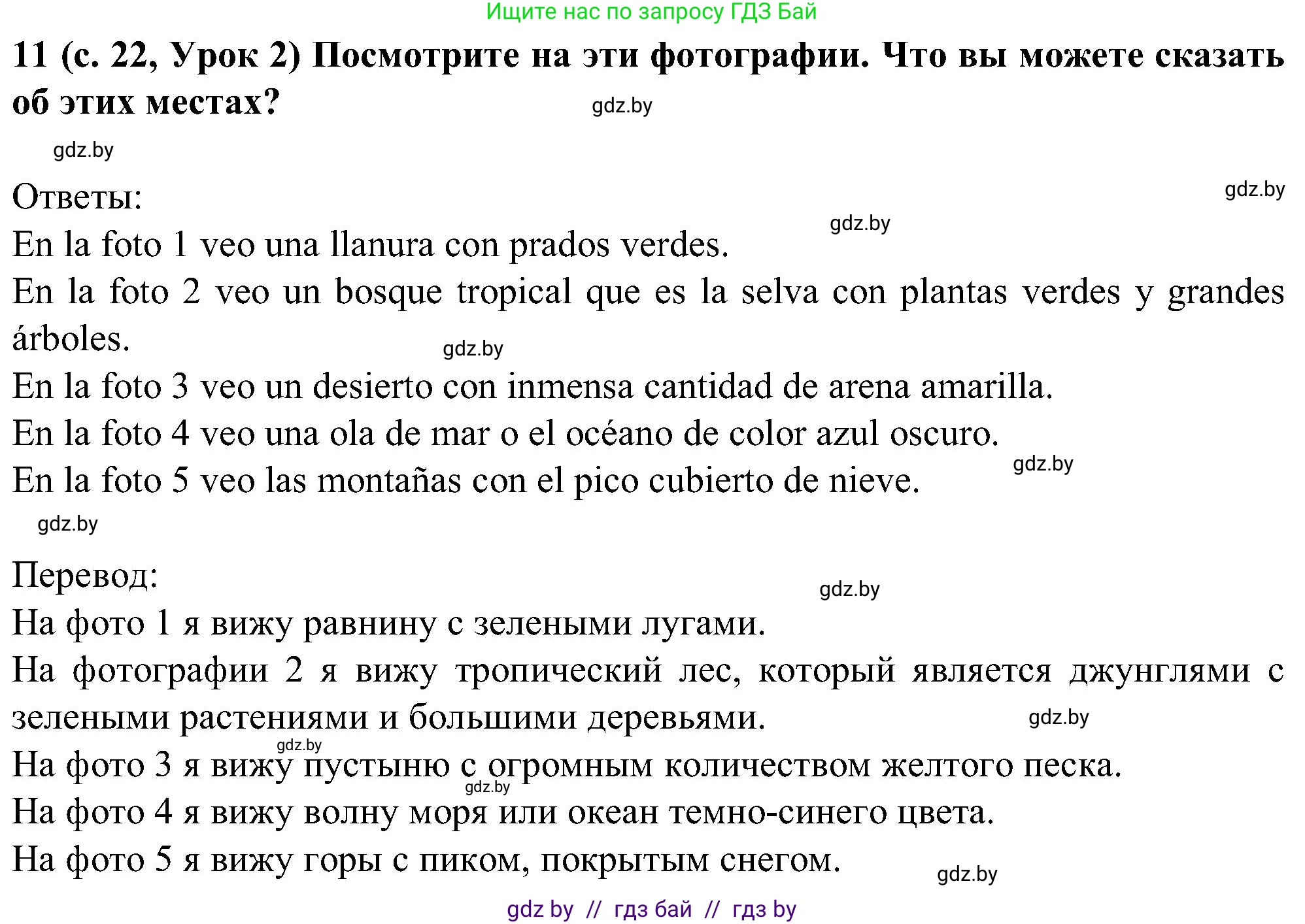 Испанский язык, 5 класс Учебник, авторы: Цыбулева Татьяна Эдуардовна, Пушкина Ольга Александровна, издательство Вышэйшая школа, Минск, 2017, оранжевого цвета, страница 22, номер 11, Решение