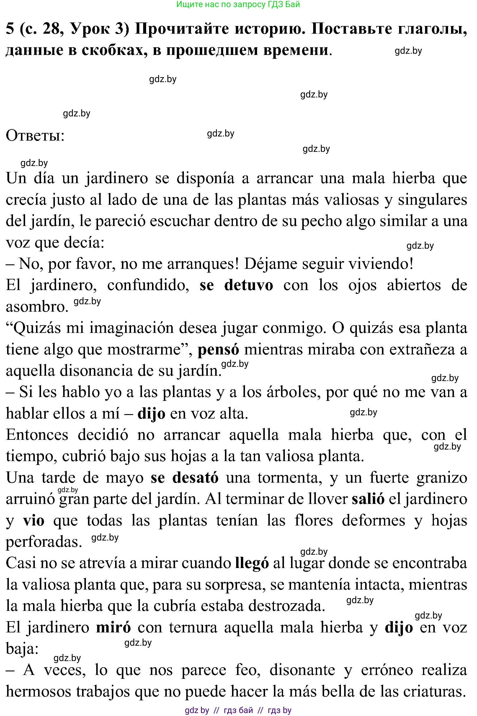 Испанский язык, 5 класс Учебник, авторы: Цыбулева Татьяна Эдуардовна, Пушкина Ольга Александровна, издательство Вышэйшая школа, Минск, 2017, оранжевого цвета, страница 28, номер 5, Решение