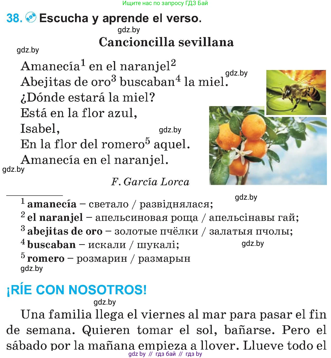 Испанский язык, 5 класс Учебник, автор: Гриневич Елена Карловна, издательство Вышэйшая школа, Минск, 2015, оранжевого цвета, Часть 1, страница 43, номер 38, Условие