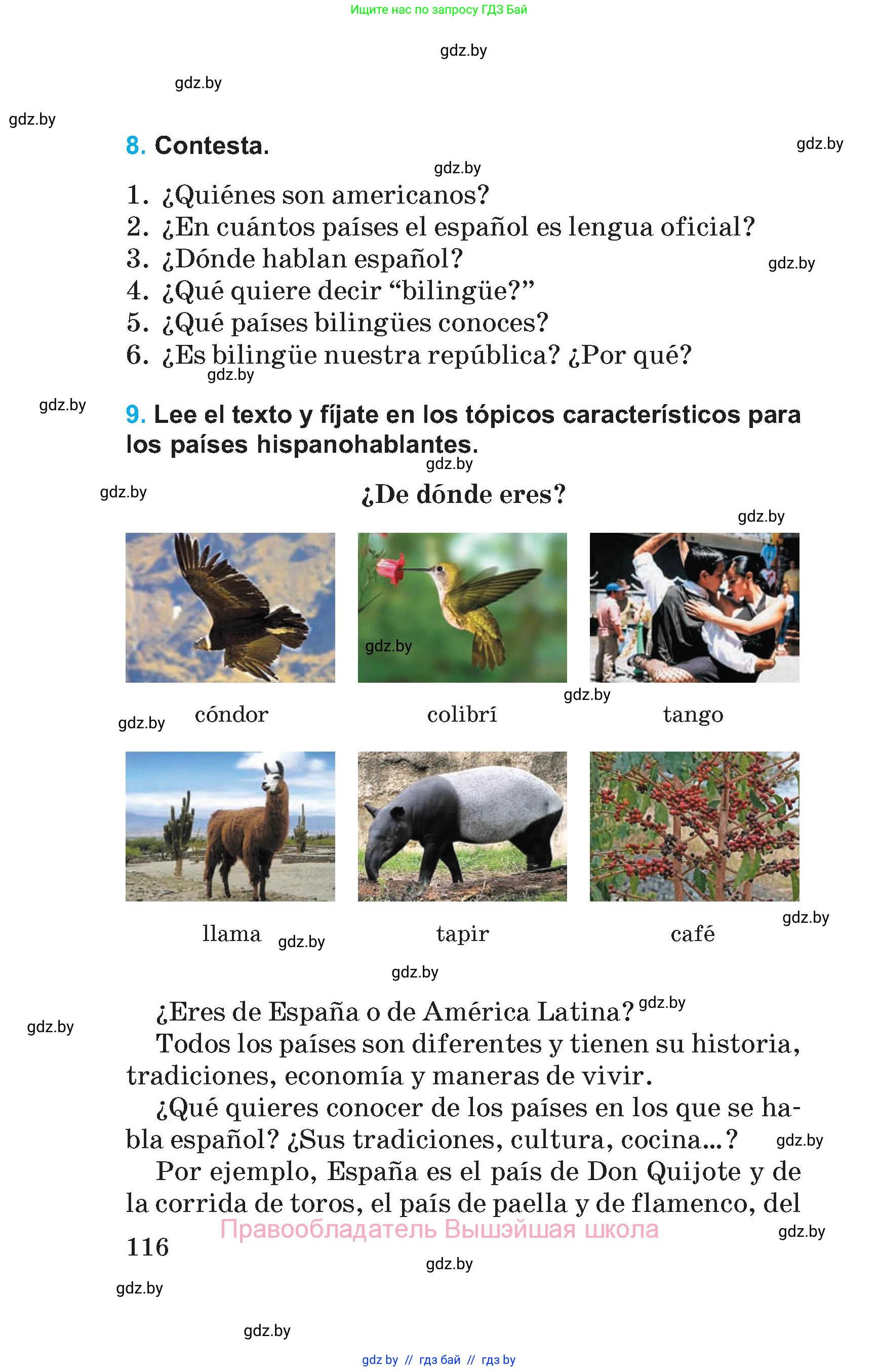 Испанский язык, 5 класс Учебник, автор: Гриневич Елена Карловна, издательство Вышэйшая школа, Минск, 2015, оранжевого цвета, Часть 1, страница 116