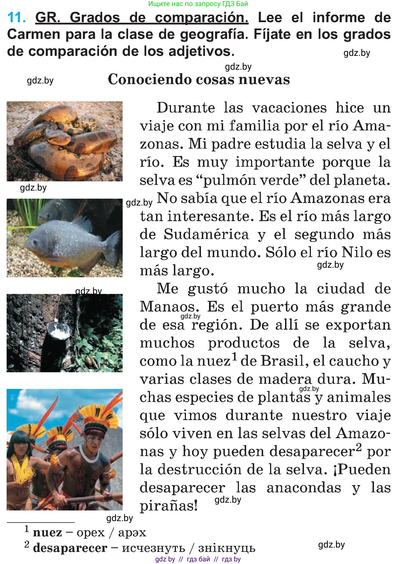 Испанский язык, 5 класс Учебник, автор: Гриневич Елена Карловна, издательство Вышэйшая школа, Минск, 2015, оранжевого цвета, Часть 1, страница 118, номер 11, Условие