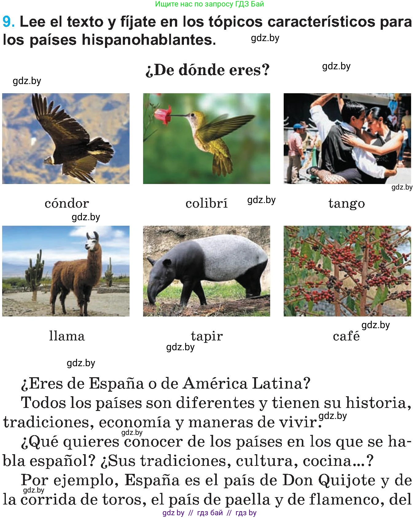 Испанский язык, 5 класс Учебник, автор: Гриневич Елена Карловна, издательство Вышэйшая школа, Минск, 2015, оранжевого цвета, Часть 1, страница 116, номер 9, Условие