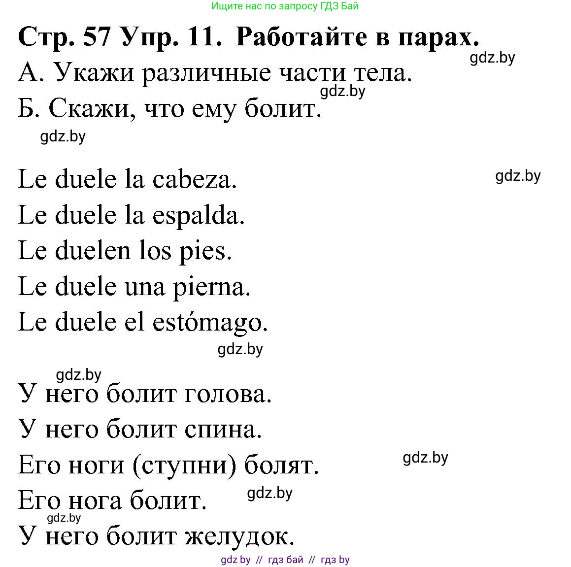 Испанский язык, 5 класс Учебник, автор: Гриневич Елена Карловна, издательство Вышэйшая школа, Минск, 2015, оранжевого цвета, Часть 2, страница 57, номер 11, Решение
