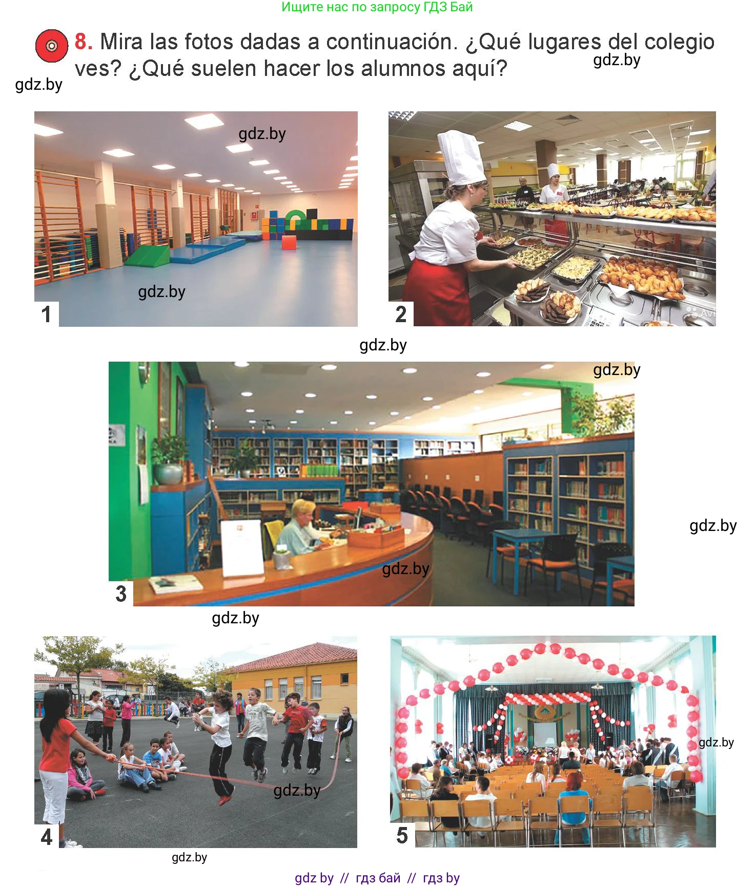 Испанский язык, 6 класс Учебник, авторы: Цыбулева Татьяна Эдуардовна, Пушкина Ольга Александровна, издательство Издательский центр БГУ, Минск, 2018, Часть 1, страница 24, номер 8, Условие