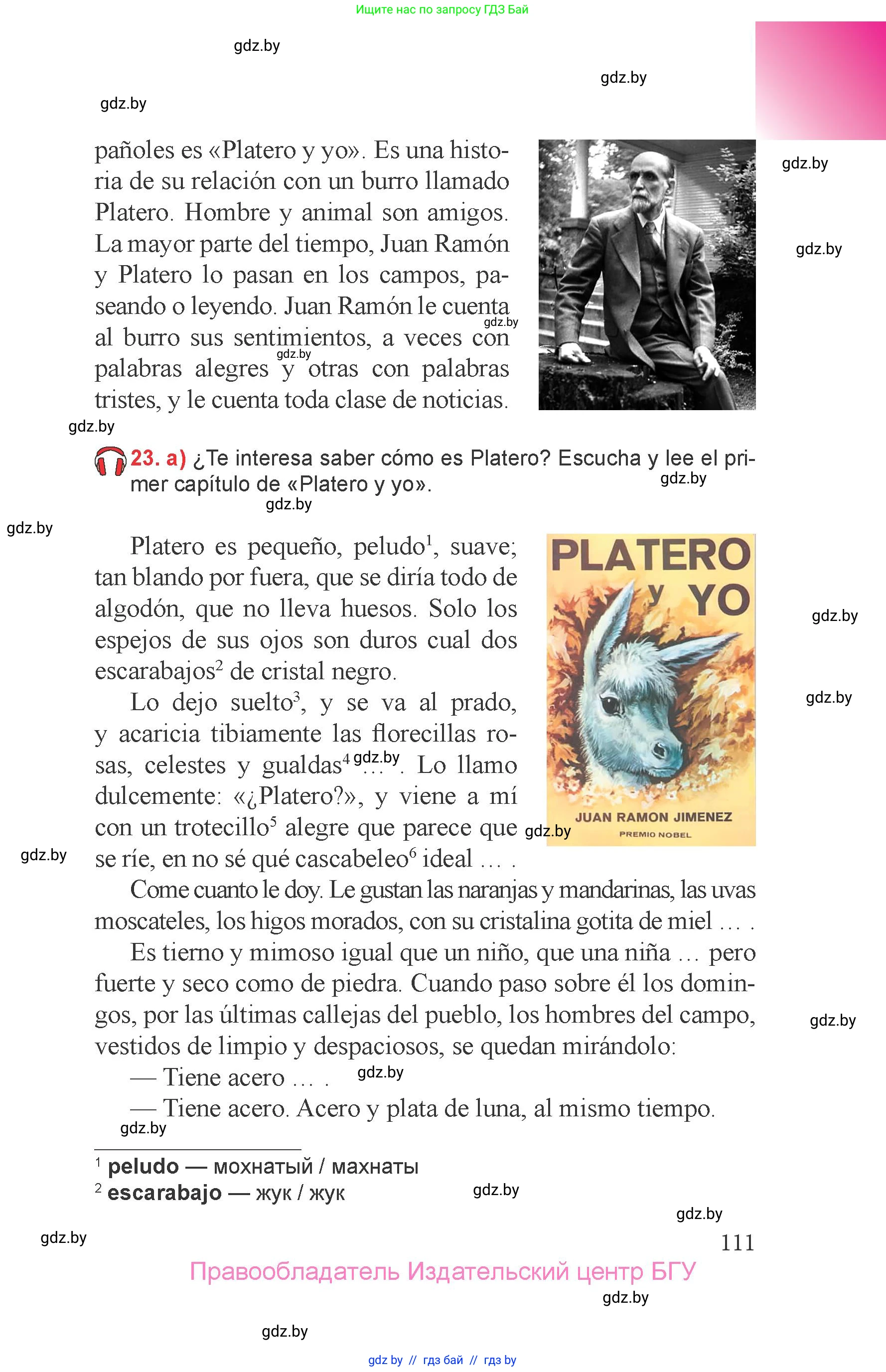 Испанский язык, 6 класс Учебник, авторы: Цыбулева Татьяна Эдуардовна, Пушкина Ольга Александровна, издательство Издательский центр БГУ, Минск, 2018, Часть 1, страница 111