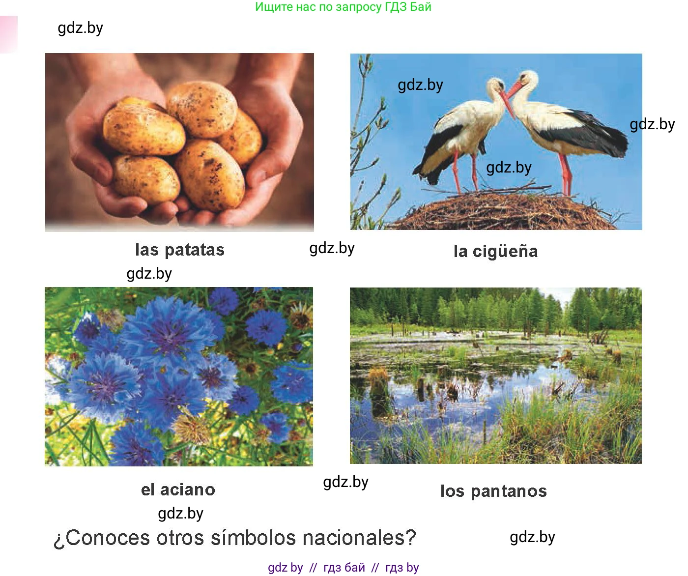 Испанский язык, 6 класс Учебник, авторы: Цыбулева Татьяна Эдуардовна, Пушкина Ольга Александровна, издательство Издательский центр БГУ, Минск, 2018, Часть 2, страница 93, номер 1, Условие (продолжение 2)