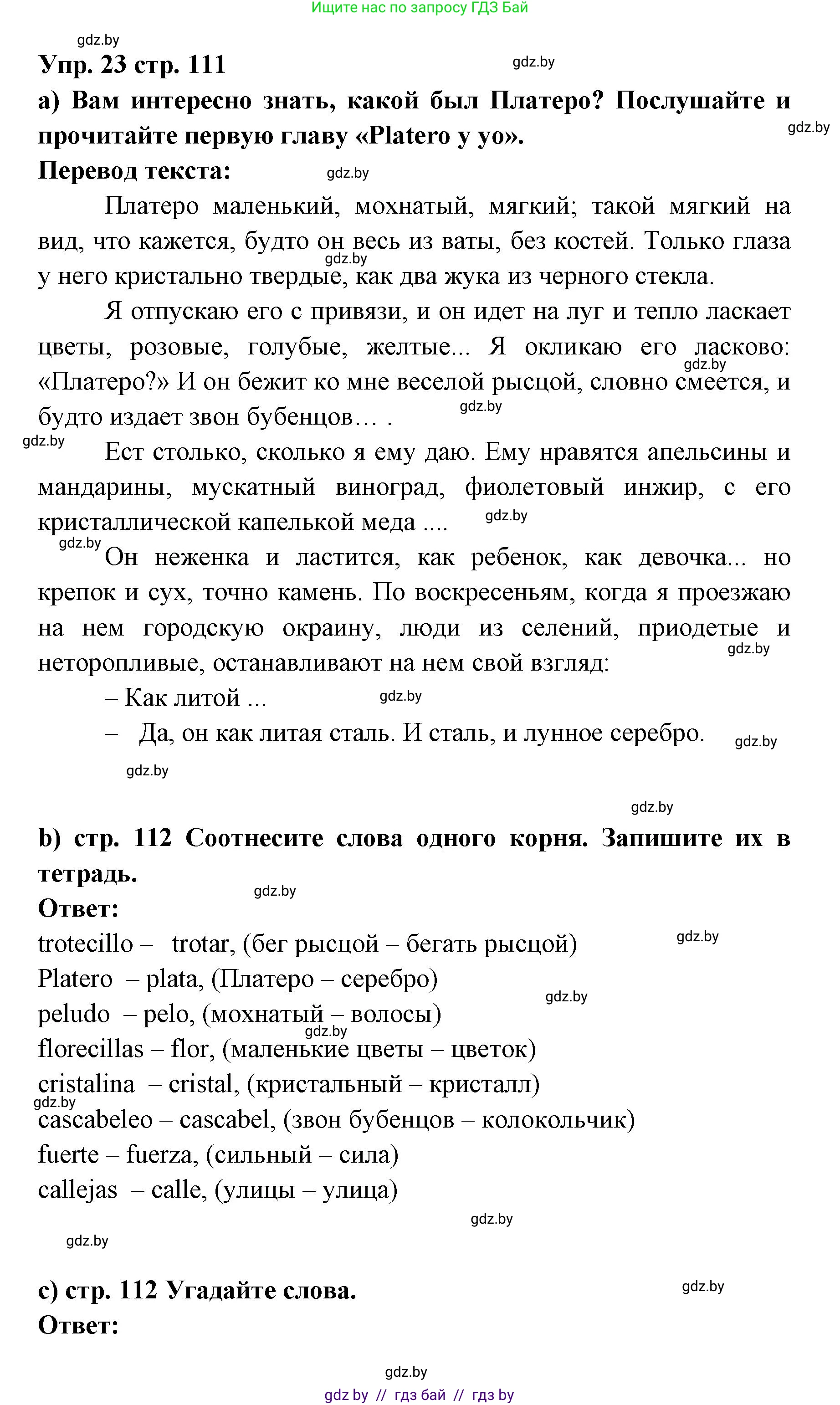Испанский язык, 6 класс Учебник, авторы: Цыбулева Татьяна Эдуардовна, Пушкина Ольга Александровна, издательство Издательский центр БГУ, Минск, 2018, Часть 1, страница 111, номер 23, Решение