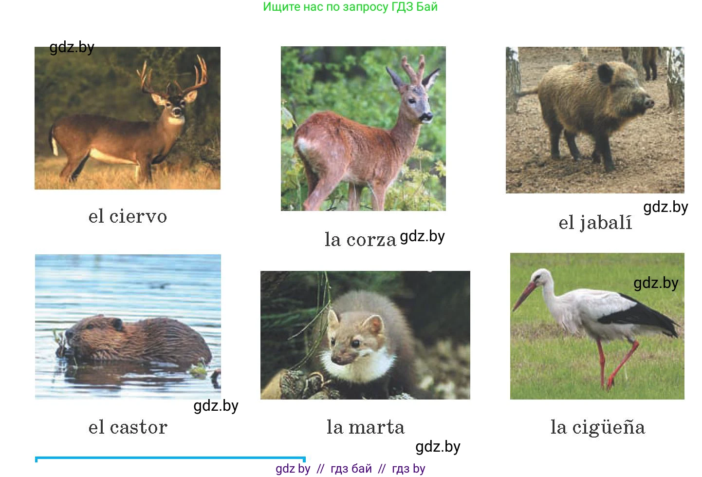 Испанский язык, 6 класс Учебник, автор: Гриневич Елена Карловна, издательство Вышэйшая школа, Минск, 2016, зелёного цвета, страница 229, номер 13, Условие (продолжение 2)