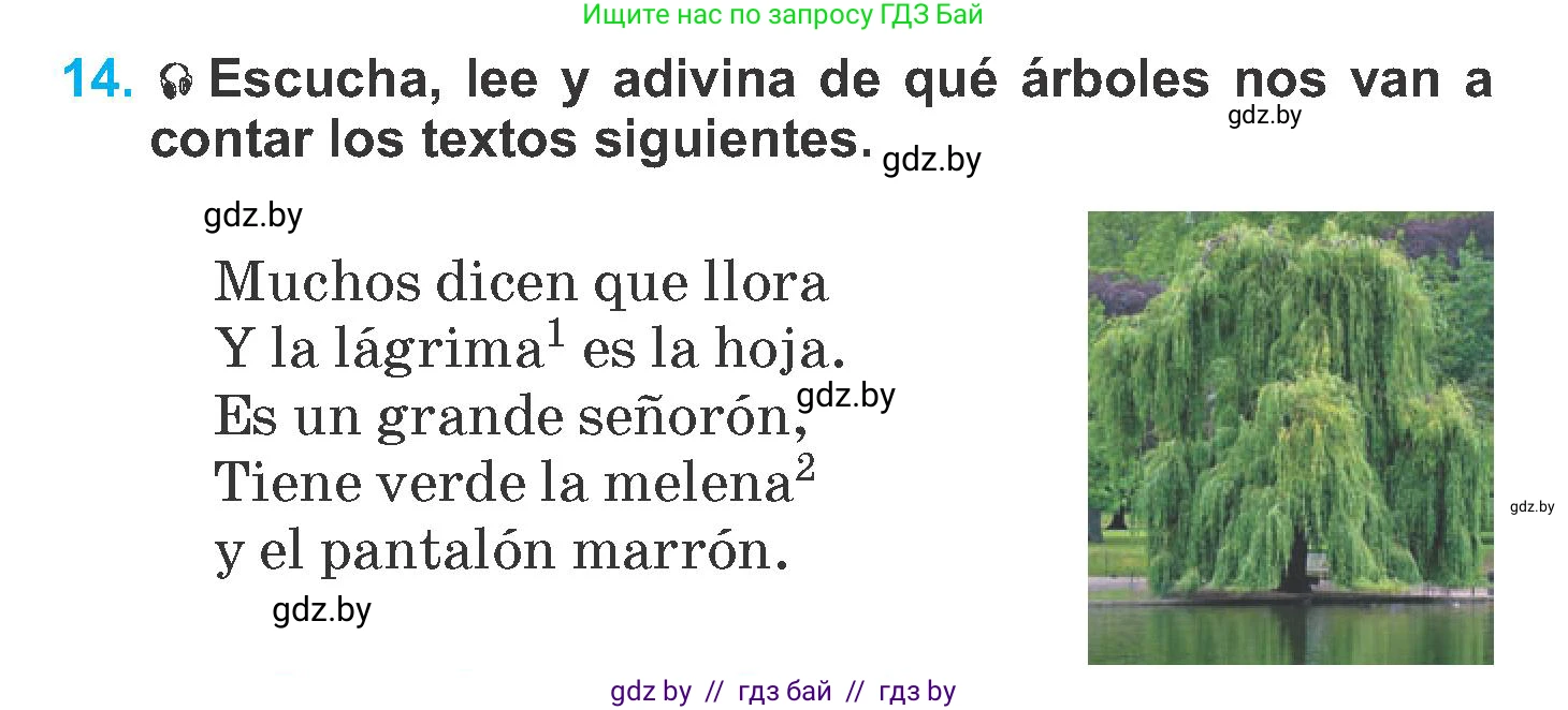 Испанский язык, 6 класс Учебник, автор: Гриневич Елена Карловна, издательство Вышэйшая школа, Минск, 2016, зелёного цвета, страница 248, номер 14, Условие