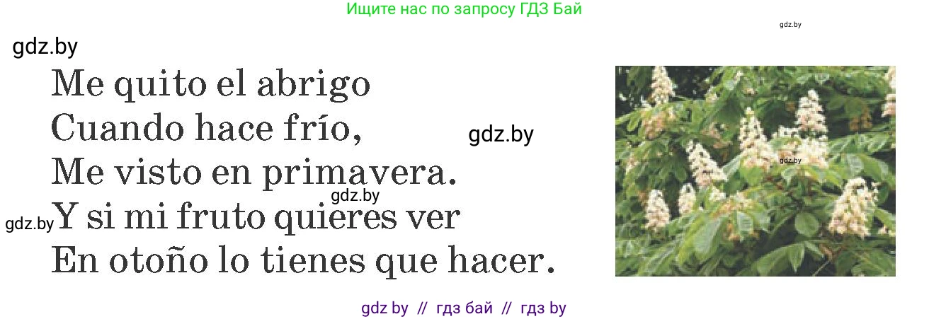 Испанский язык, 6 класс Учебник, автор: Гриневич Елена Карловна, издательство Вышэйшая школа, Минск, 2016, зелёного цвета, страница 248, номер 14, Условие (продолжение 2)