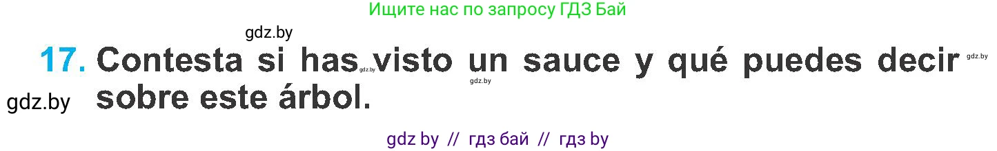 Испанский язык, 6 класс Учебник, автор: Гриневич Елена Карловна, издательство Вышэйшая школа, Минск, 2016, зелёного цвета, страница 250, номер 17, Условие