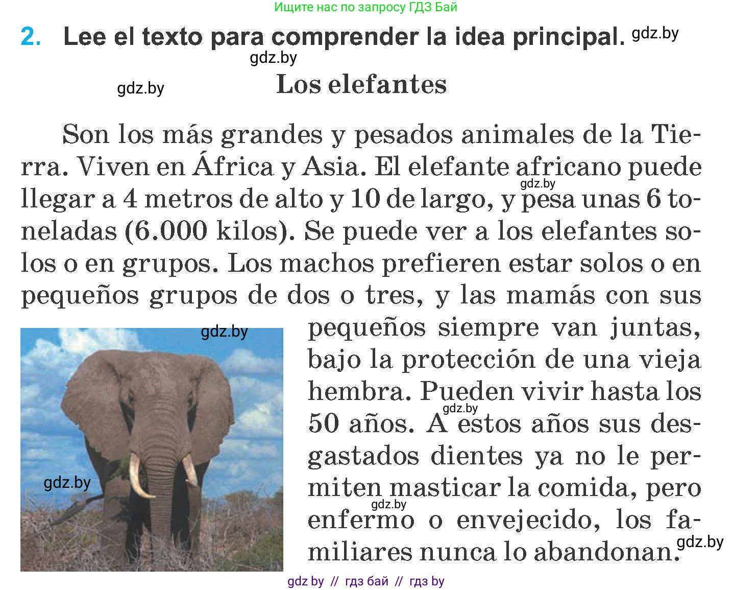 Испанский язык, 6 класс Учебник, автор: Гриневич Елена Карловна, издательство Вышэйшая школа, Минск, 2016, зелёного цвета, страница 240, номер 2, Условие