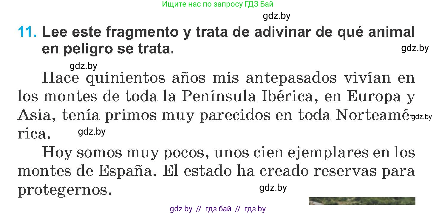 Испанский язык, 6 класс Учебник, автор: Гриневич Елена Карловна, издательство Вышэйшая школа, Минск, 2016, зелёного цвета, страница 259, номер 11, Условие