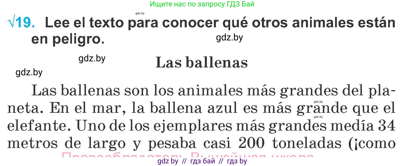 Испанский язык, 6 класс Учебник, автор: Гриневич Елена Карловна, издательство Вышэйшая школа, Минск, 2016, зелёного цвета, страница 264, номер 19, Условие