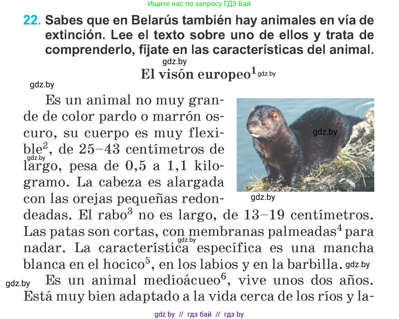 Испанский язык, 6 класс Учебник, автор: Гриневич Елена Карловна, издательство Вышэйшая школа, Минск, 2016, зелёного цвета, страница 266, номер 22, Условие