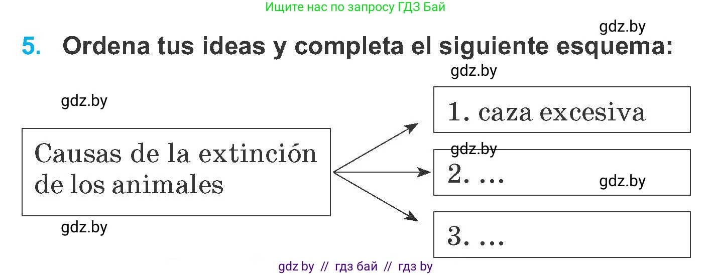 Испанский язык, 6 класс Учебник, автор: Гриневич Елена Карловна, издательство Вышэйшая школа, Минск, 2016, зелёного цвета, страница 255, номер 5, Условие