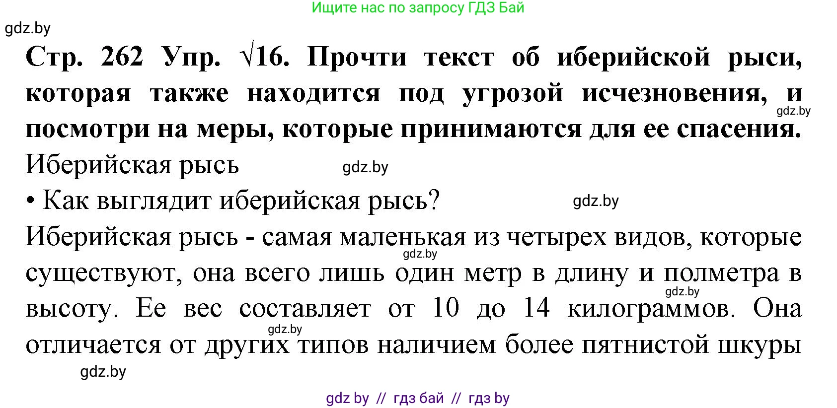Испанский язык, 6 класс Учебник, автор: Гриневич Елена Карловна, издательство Вышэйшая школа, Минск, 2016, зелёного цвета, страница 262, номер 16, Решение