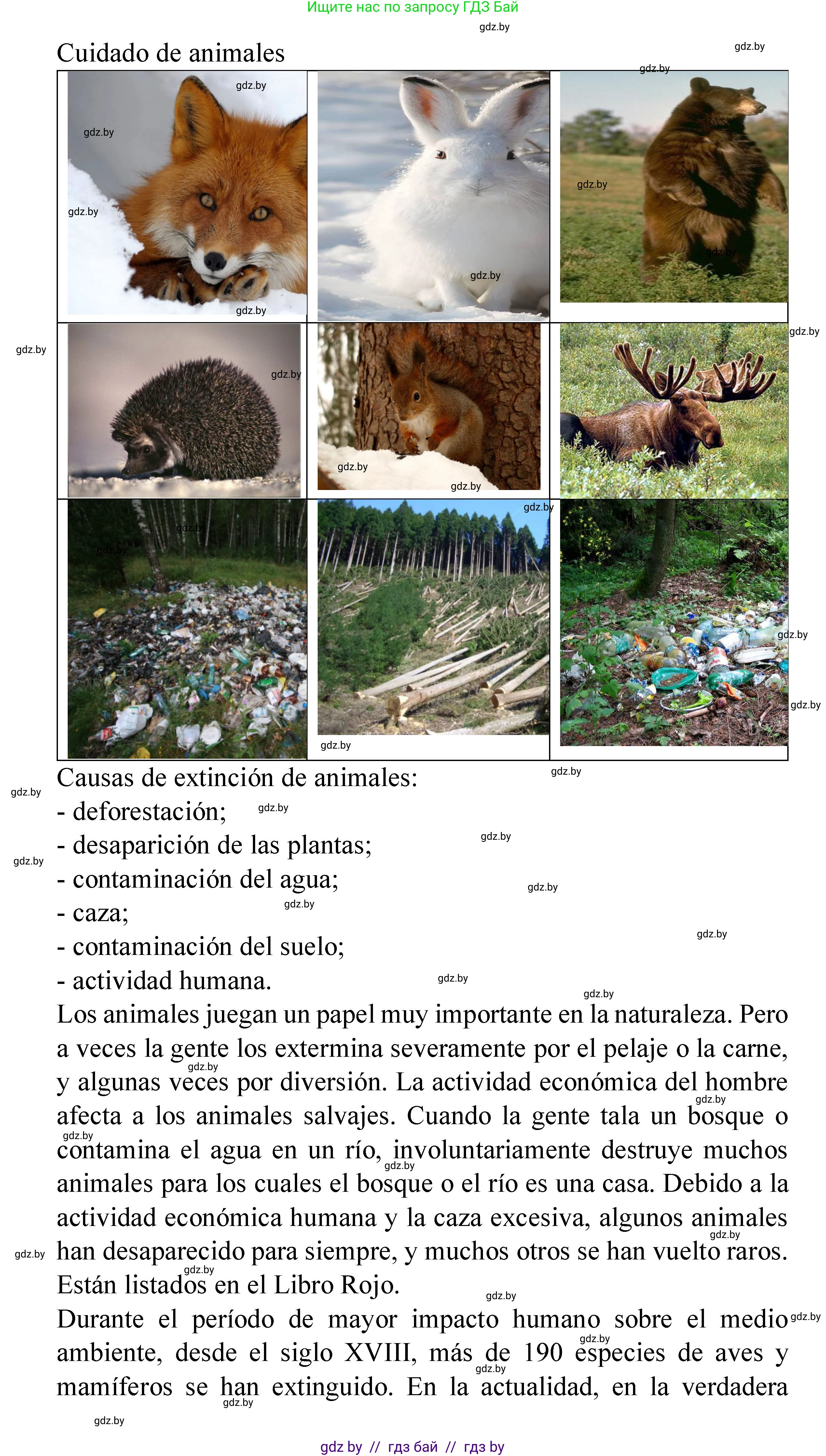 Испанский язык, 6 класс Учебник, автор: Гриневич Елена Карловна, издательство Вышэйшая школа, Минск, 2016, зелёного цвета, страница 271, номер 27, Решение (продолжение 4)