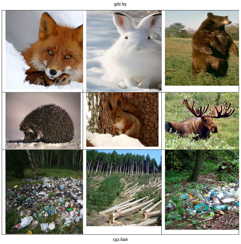 Cuidado de animales