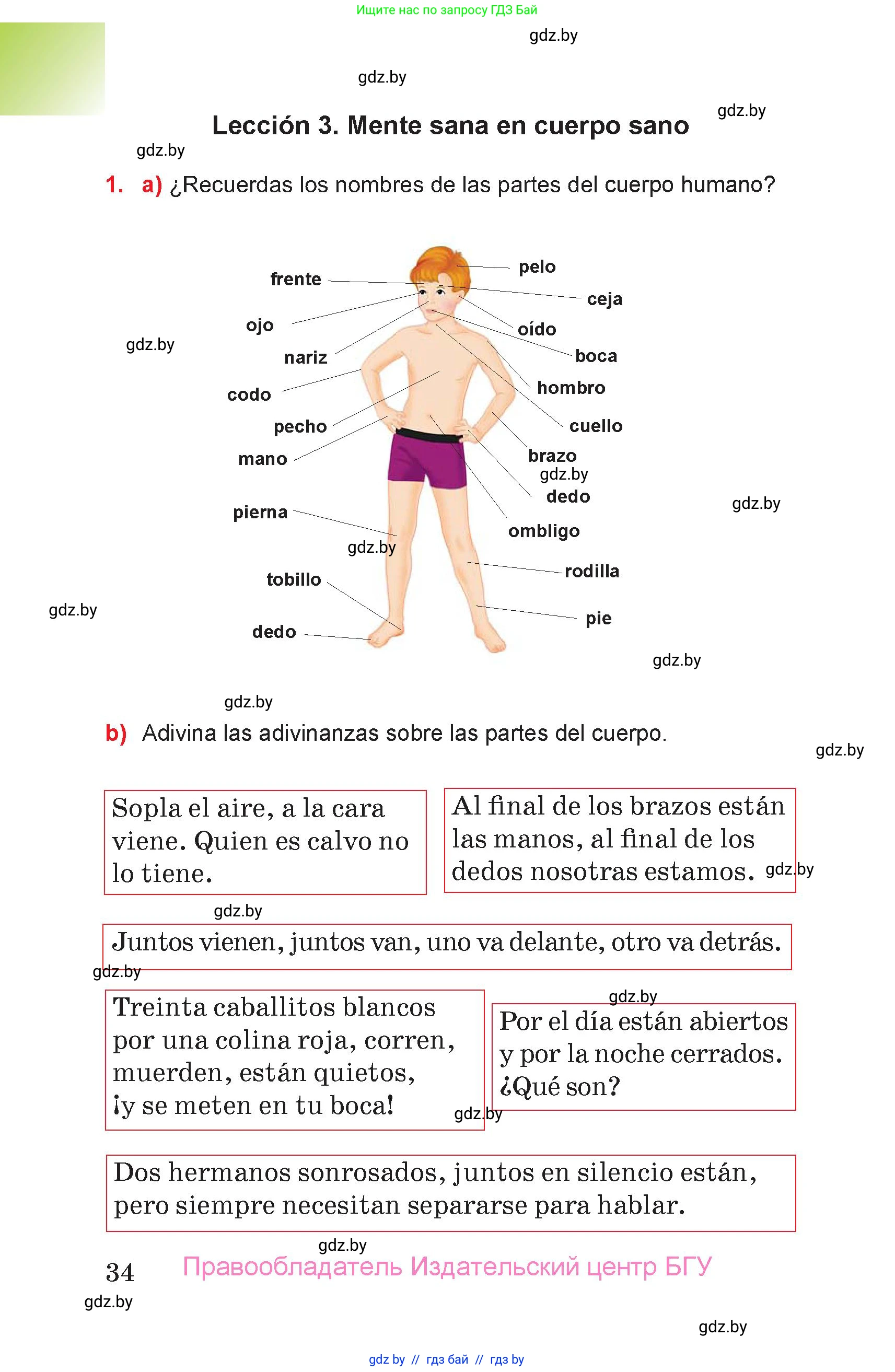 Испанский язык, 7 класс Учебник, авторы: Цыбулева Татьяна Эдуардовна, Пушкина Ольга Александровна, Карпиевич Галина Константиновна, издательство Издательский центр БГУ, Минск, 2019, бирюзового цвета, Часть 2, страница 34