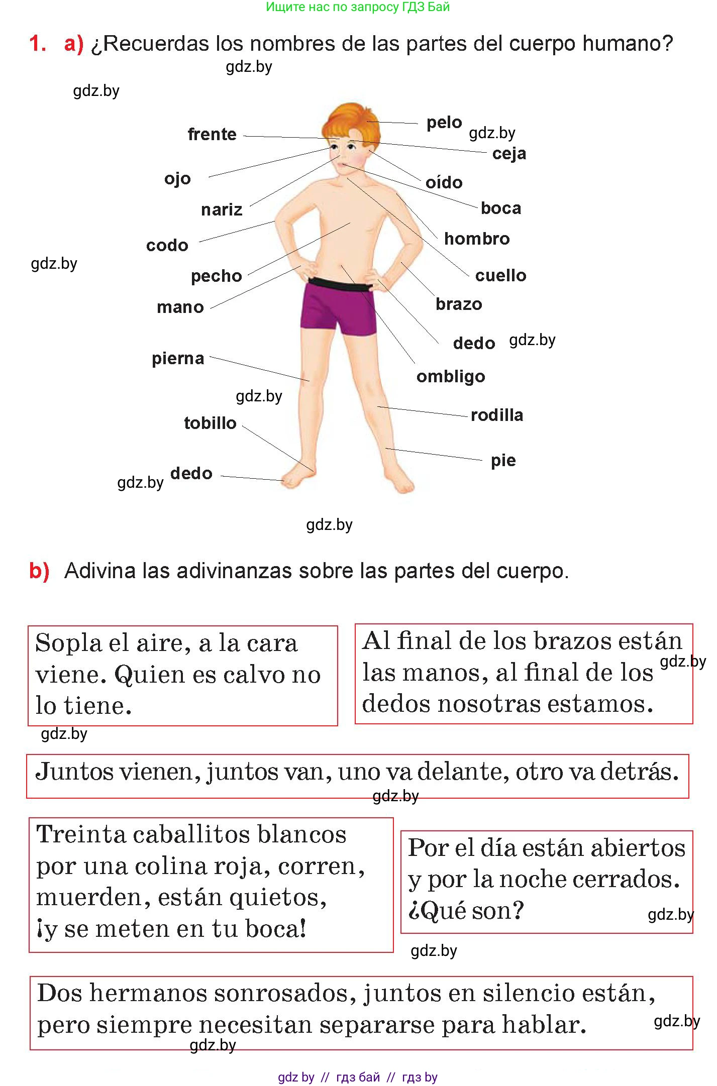 Испанский язык, 7 класс Учебник, авторы: Цыбулева Татьяна Эдуардовна, Пушкина Ольга Александровна, Карпиевич Галина Константиновна, издательство Издательский центр БГУ, Минск, 2019, бирюзового цвета, Часть 2, страница 34, номер 1, Условие