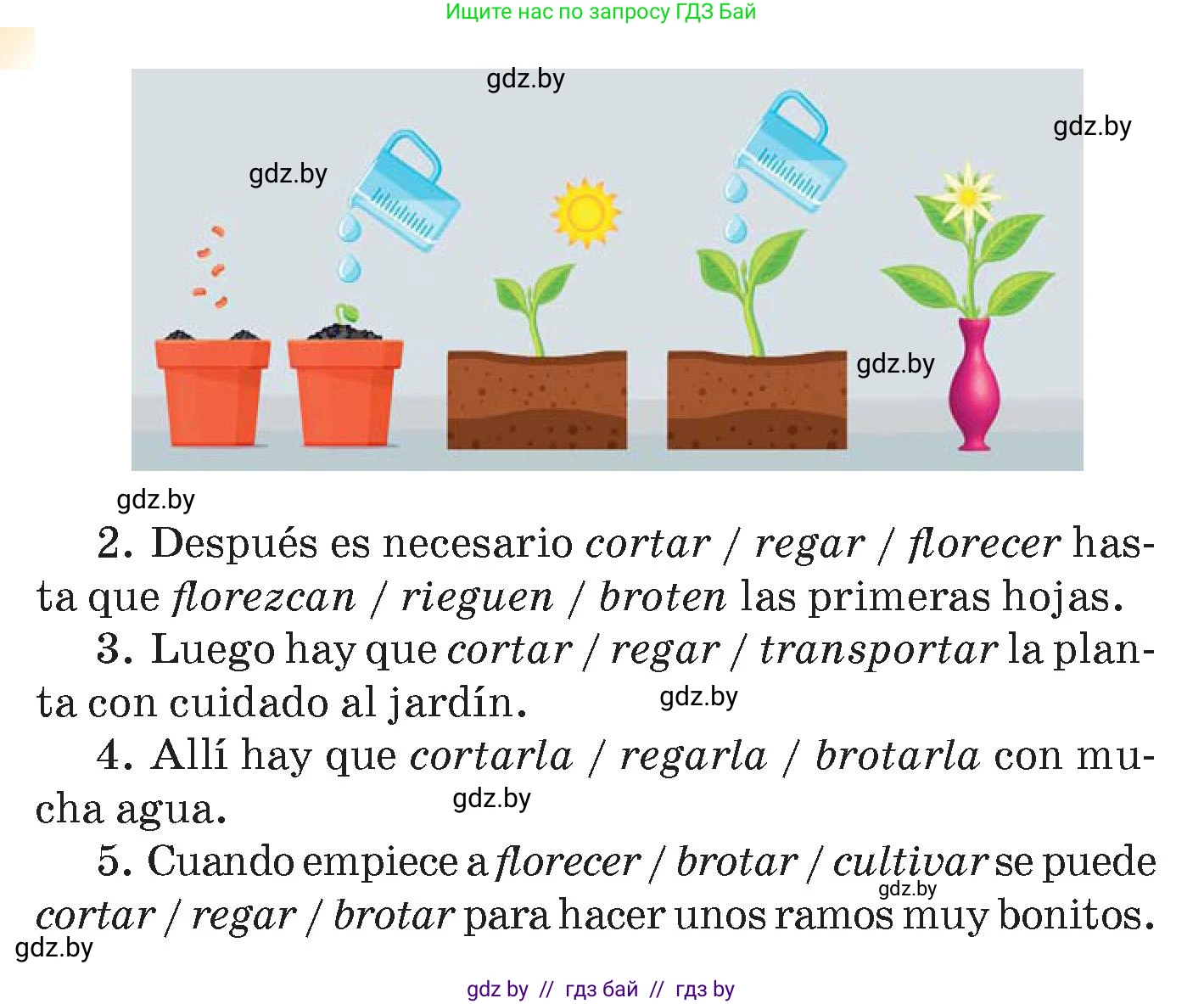 Испанский язык, 7 класс Учебник, авторы: Цыбулева Татьяна Эдуардовна, Пушкина Ольга Александровна, Карпиевич Галина Константиновна, издательство Издательский центр БГУ, Минск, 2019, бирюзового цвета, Часть 2, страница 131, номер 8, Условие (продолжение 2)