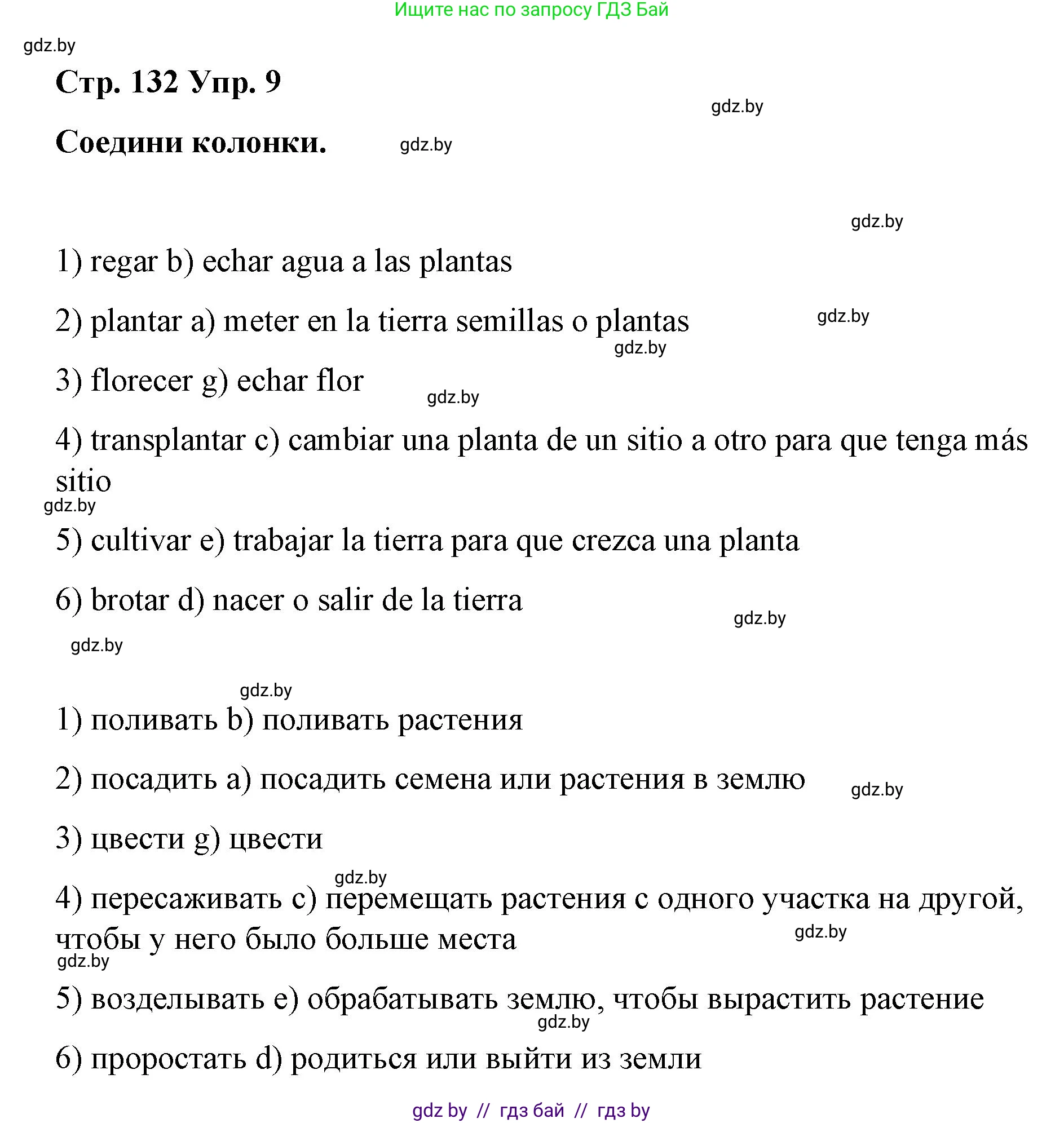 Испанский язык, 7 класс Учебник, авторы: Цыбулева Татьяна Эдуардовна, Пушкина Ольга Александровна, Карпиевич Галина Константиновна, издательство Издательский центр БГУ, Минск, 2019, бирюзового цвета, Часть 2, страница 132, номер 9, Решение