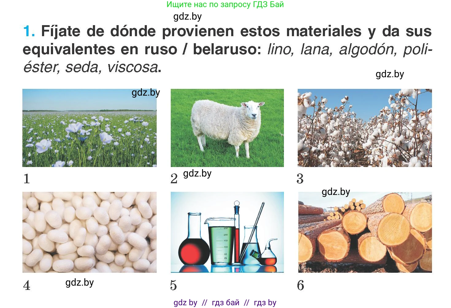 Испанский язык, 7 класс Учебник, автор: Гриневич Елена Карловна, издательство Вышэйшая школа, Минск, 2017, оранжевого цвета, страница 207, номер 1, Условие