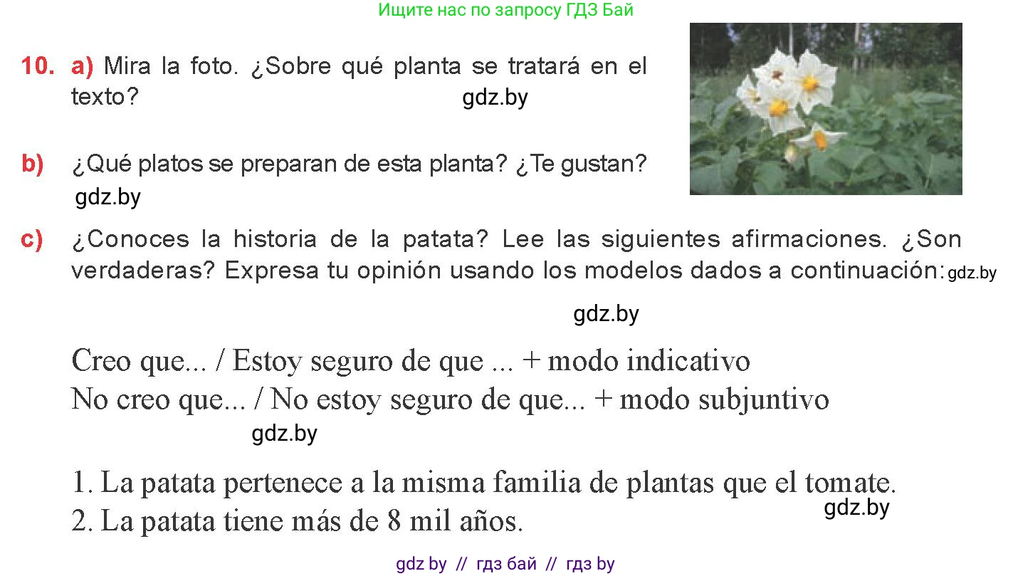 Испанский язык, 8 класс Учебник, авторы: Цыбулева Татьяна Эдуардовна, Пушкина Ольга Александровна, издательство Издательский центр БГУ, Минск, 2016, оранжевого цвета, страница 49, номер 10, Условие