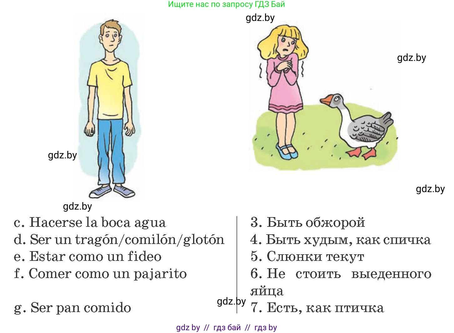 Испанский язык, 8 класс Учебник, автор: Гриневич Елена Карловна, издательство Вышэйшая школа, Минск, 2011, оранжевого цвета, страница 23, номер 19, Условие (продолжение 2)