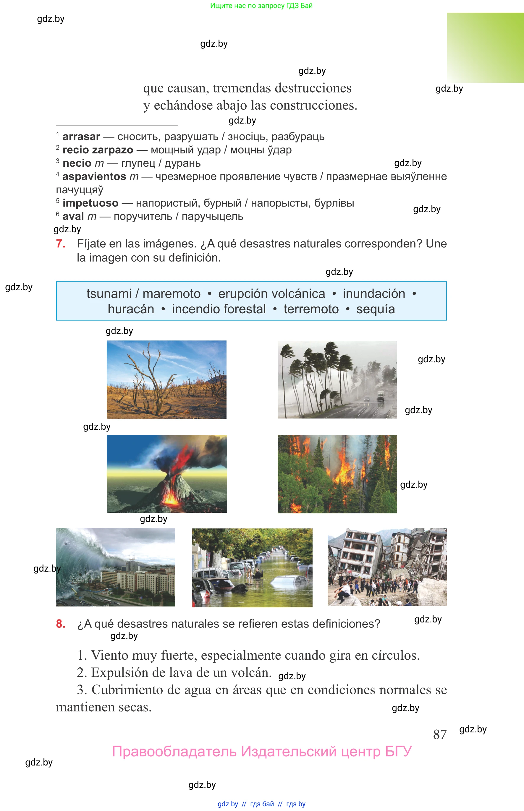Испанский язык, 9 класс Учебник, авторы: Цыбулева Татьяна Эдуардовна, Пушкина Ольга Александровна, издательство Издательский центр БГУ, Минск, 2017, страница 87