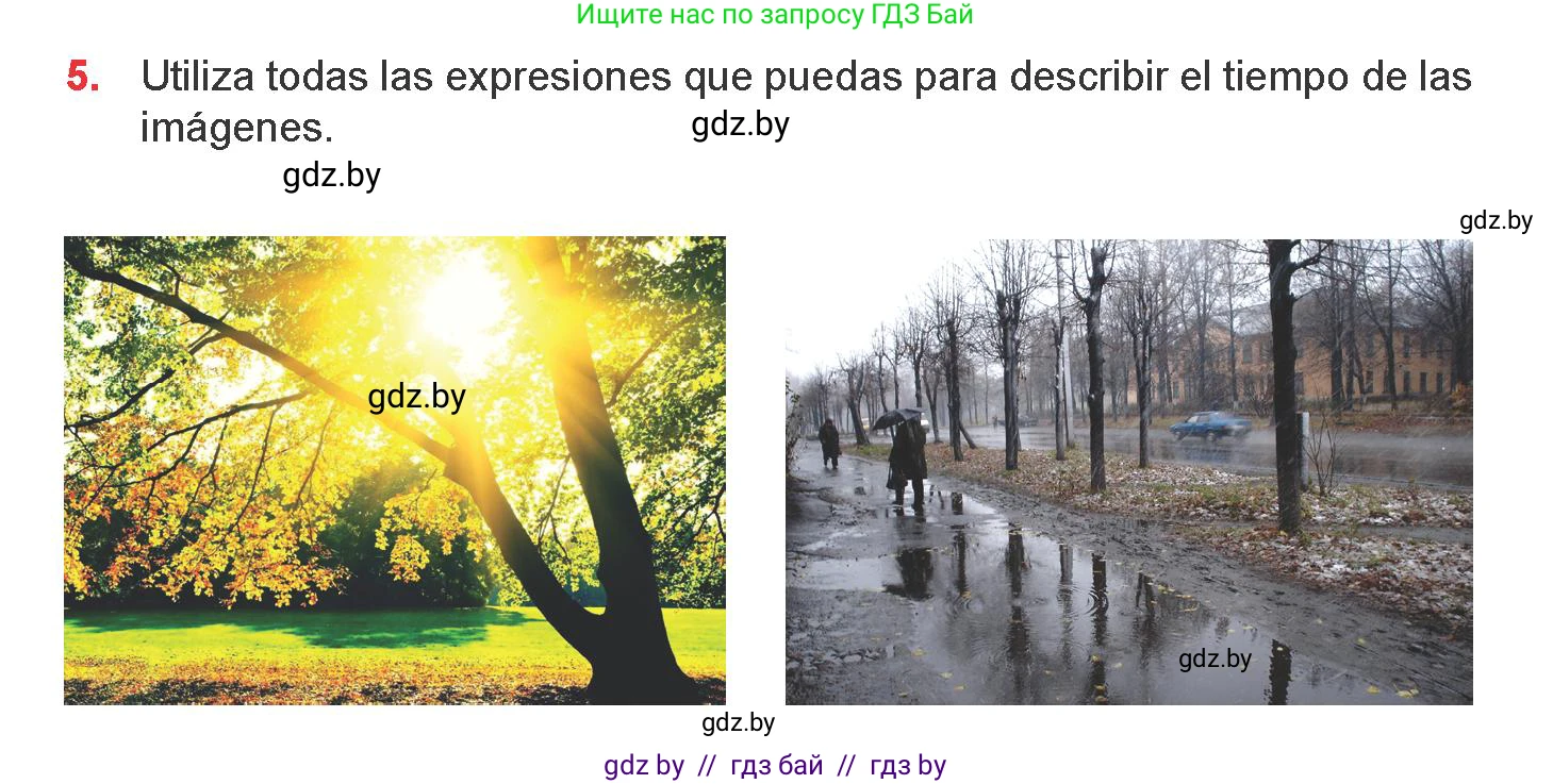 Испанский язык, 9 класс Учебник, авторы: Цыбулева Татьяна Эдуардовна, Пушкина Ольга Александровна, издательство Издательский центр БГУ, Минск, 2017, страница 55, номер 5, Условие