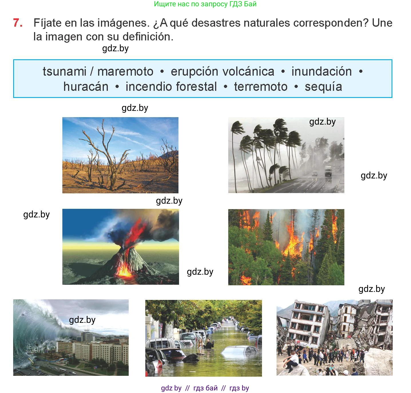 Испанский язык, 9 класс Учебник, авторы: Цыбулева Татьяна Эдуардовна, Пушкина Ольга Александровна, издательство Издательский центр БГУ, Минск, 2017, страница 87, номер 7, Условие